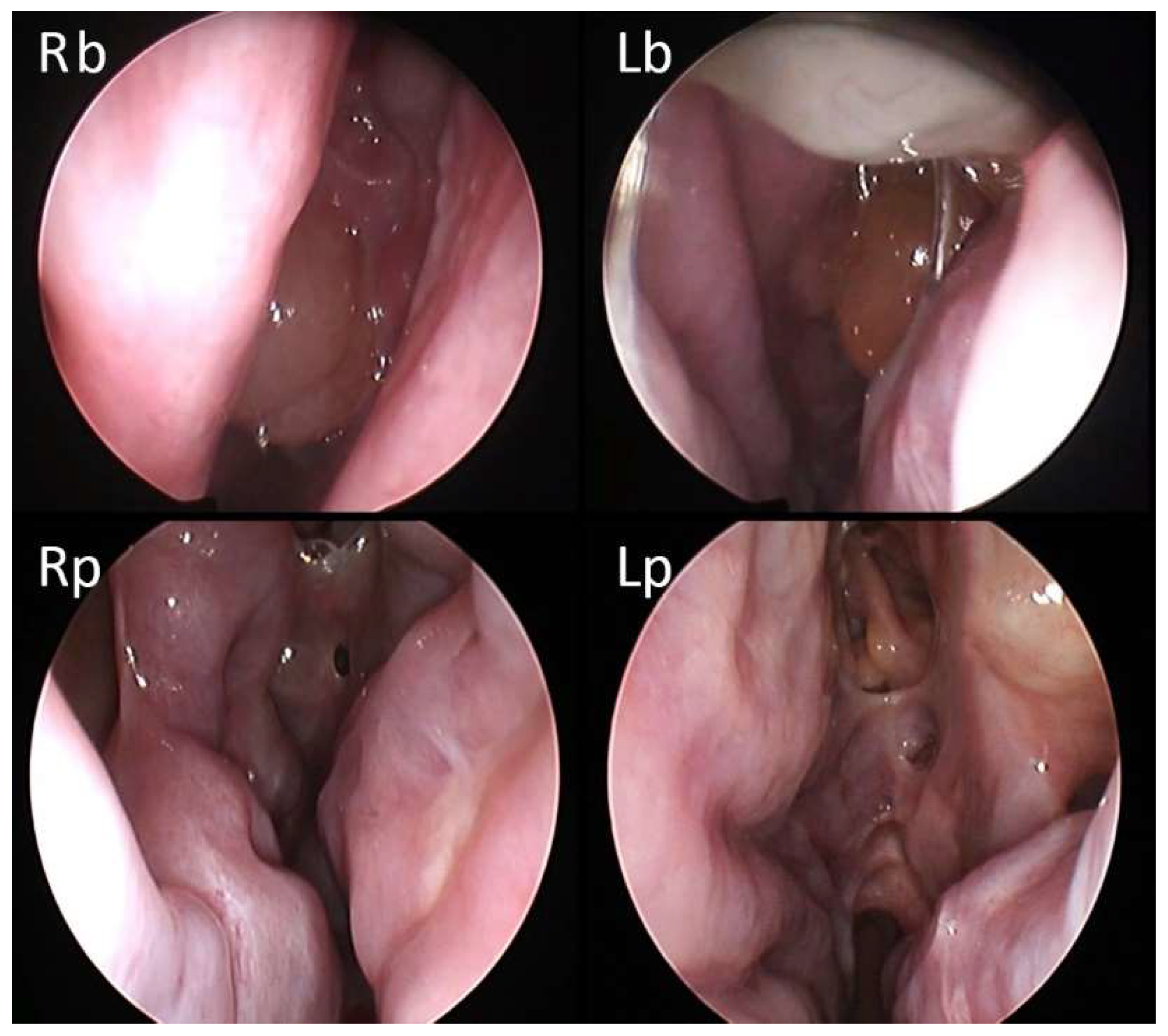 Jcm 11 02684 g006 550