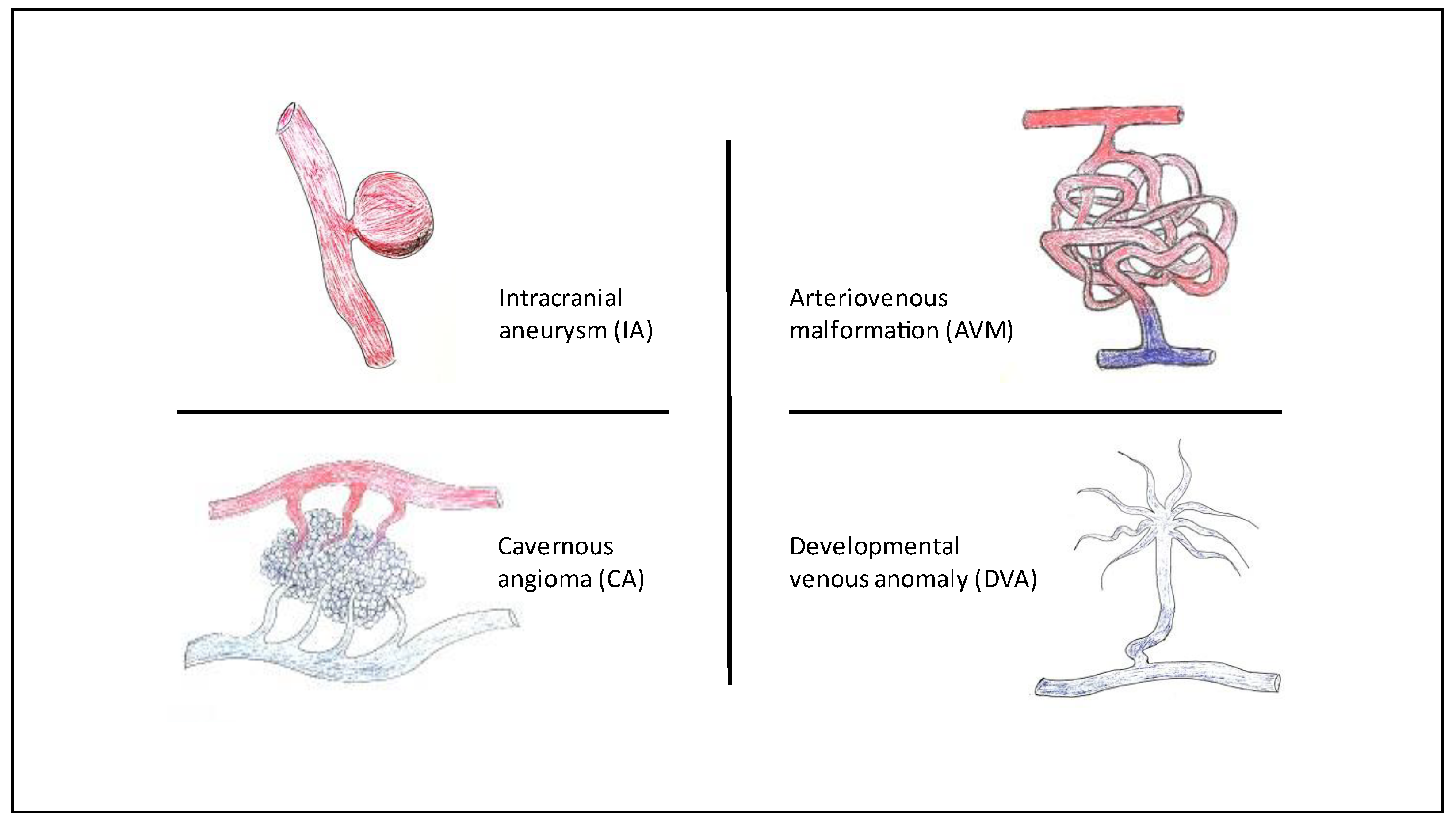 Jcm 11 02685 g001 550