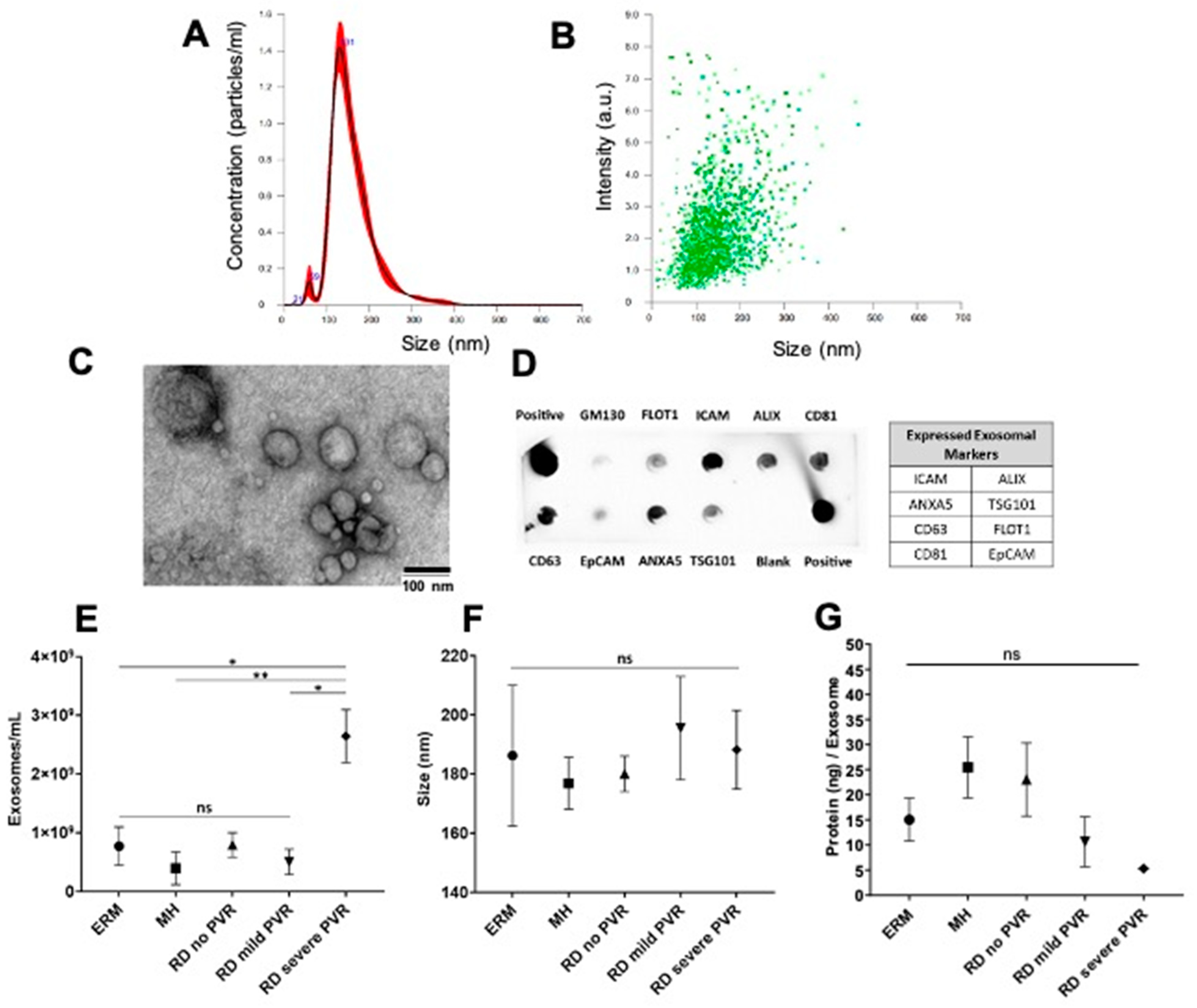 Jcm 11 02716 g002 550