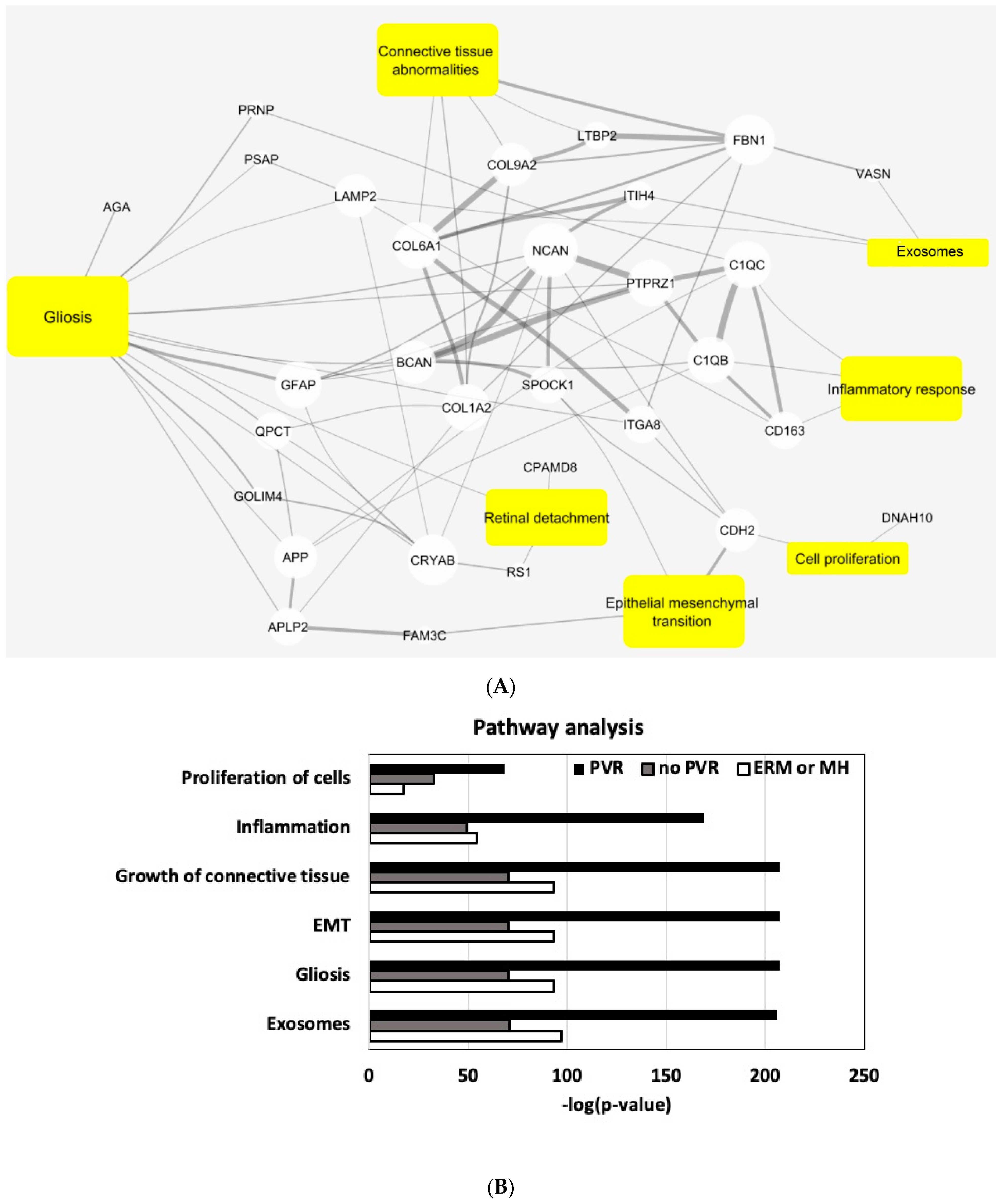 Jcm 11 02716 g005a 550