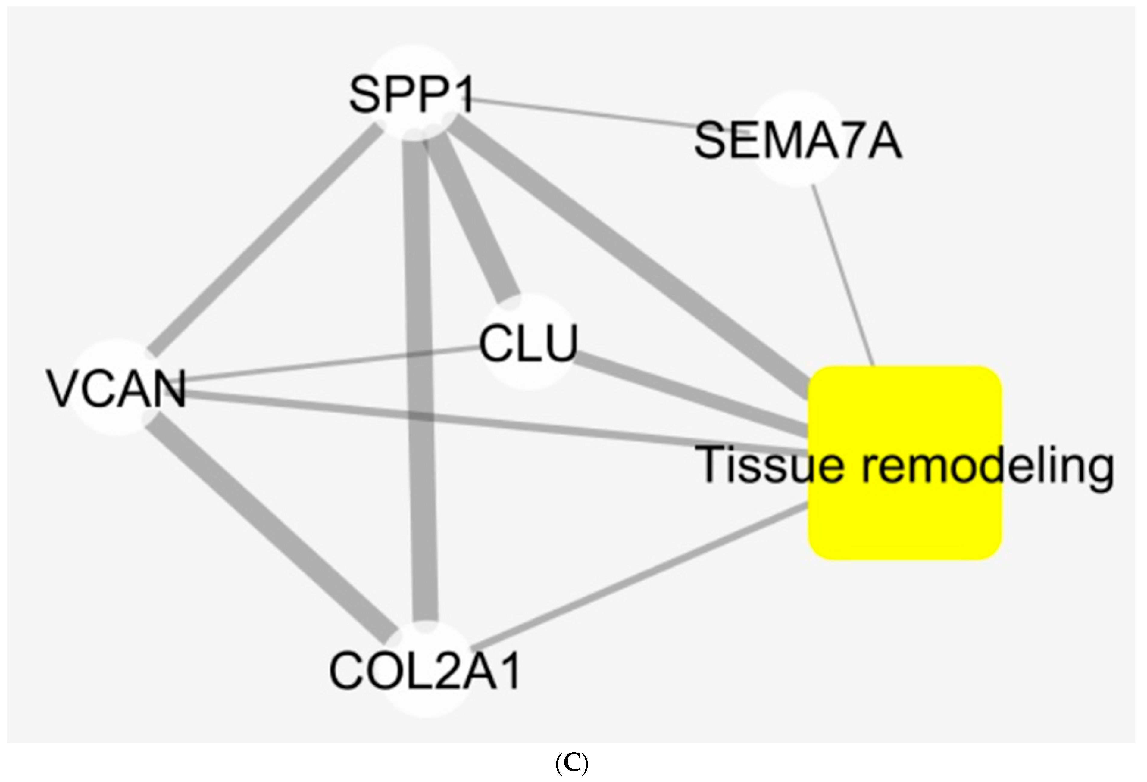 Jcm 11 02716 g005b 550