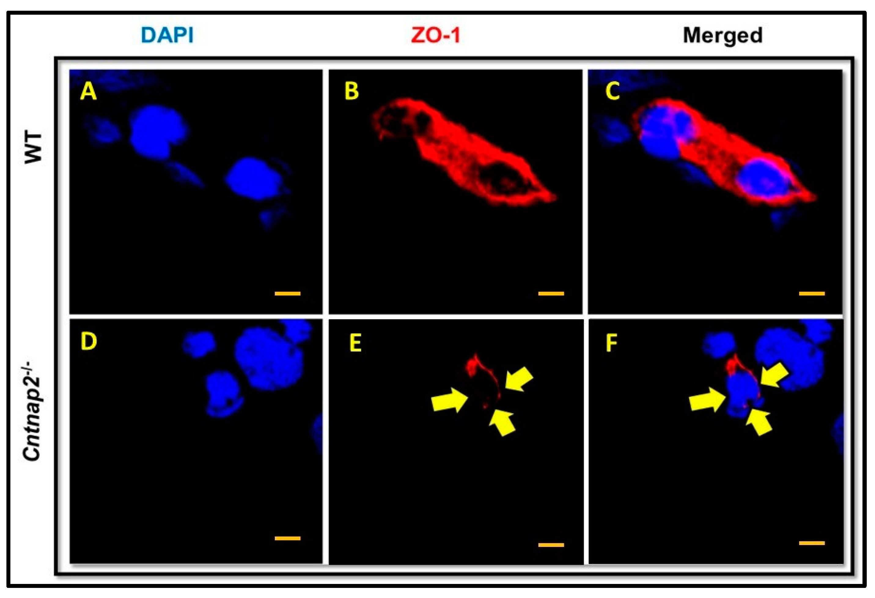 Jcm 11 02725 g004 550