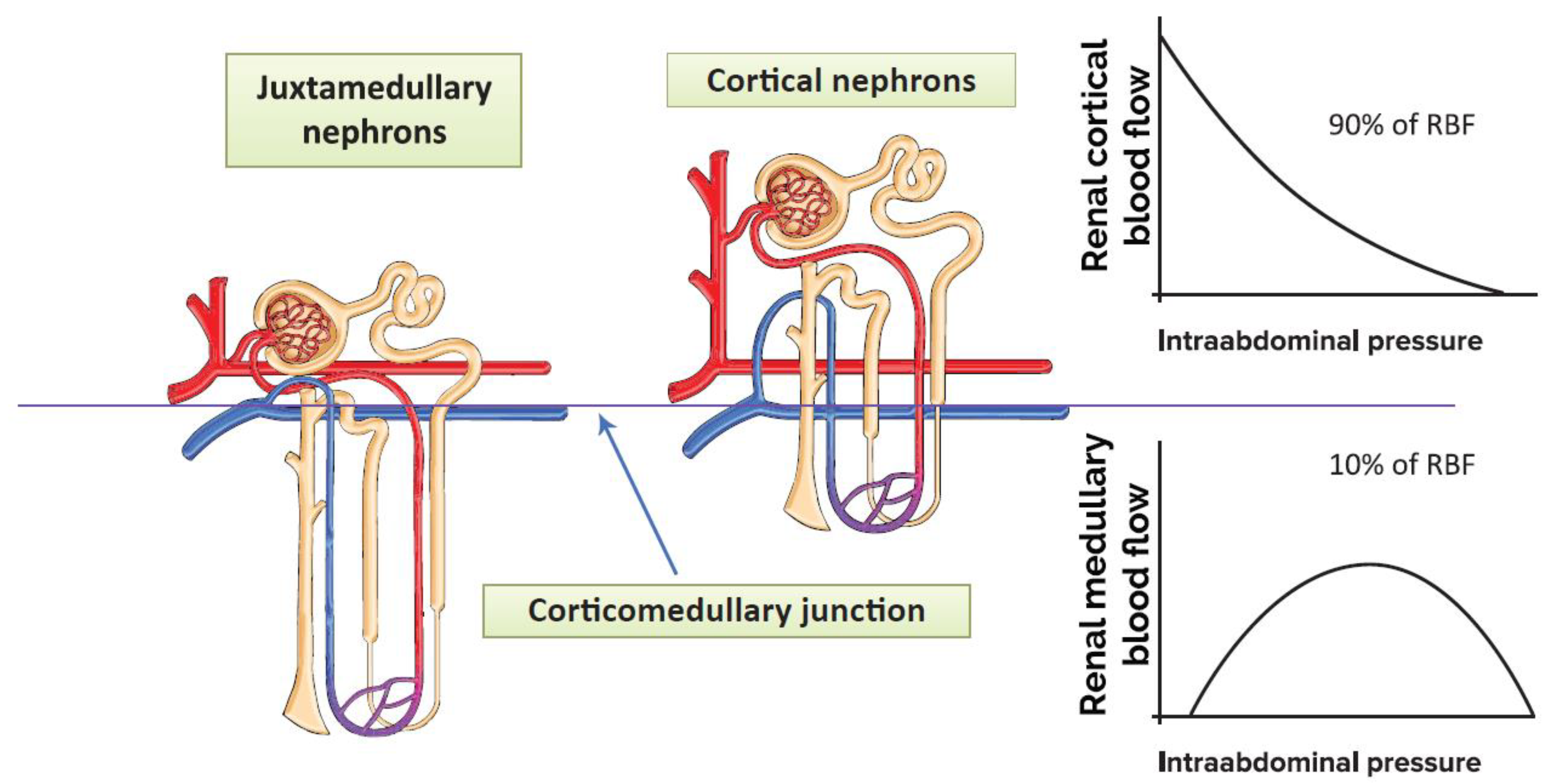 Jcm 11 02728 g003 Jcm 11 02728 g003