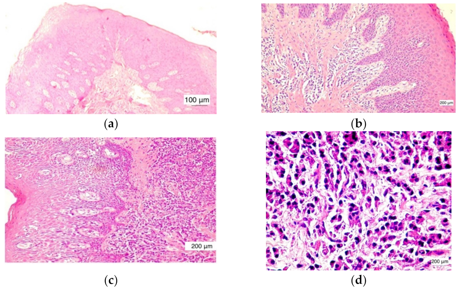 Jcm 11 02758 g002 550