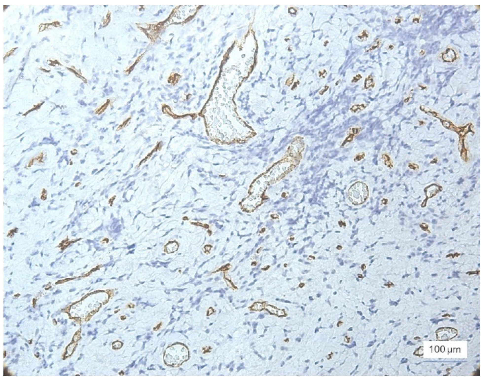 Jcm 11 02758 g004 550