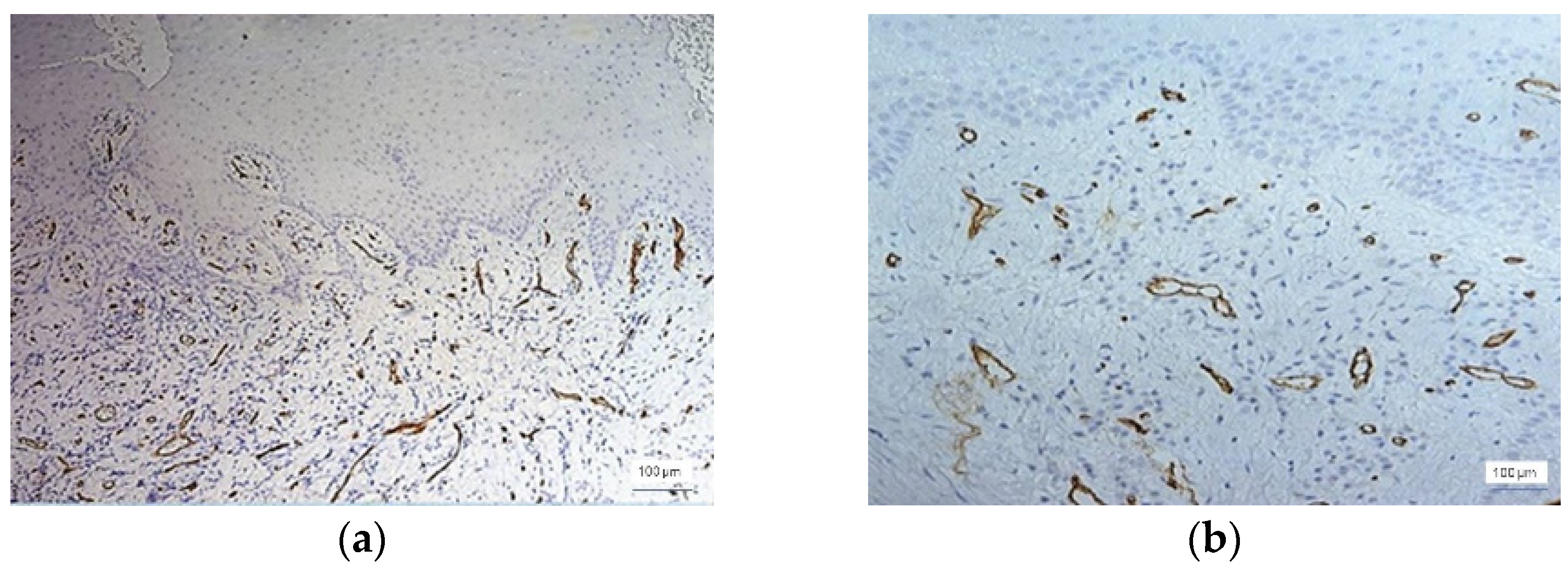 Jcm 11 02758 g006 550