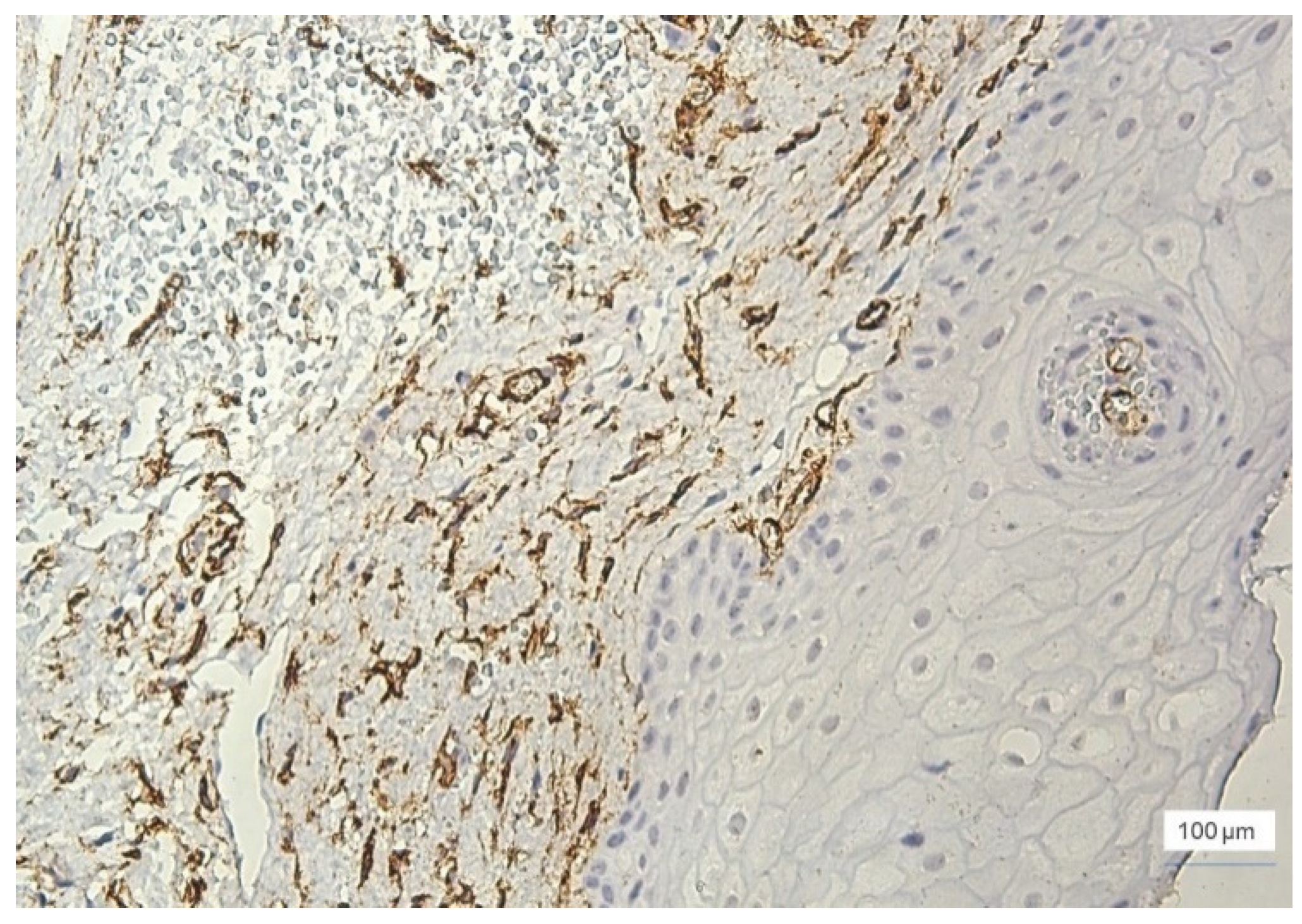 Jcm 11 02758 g007 550