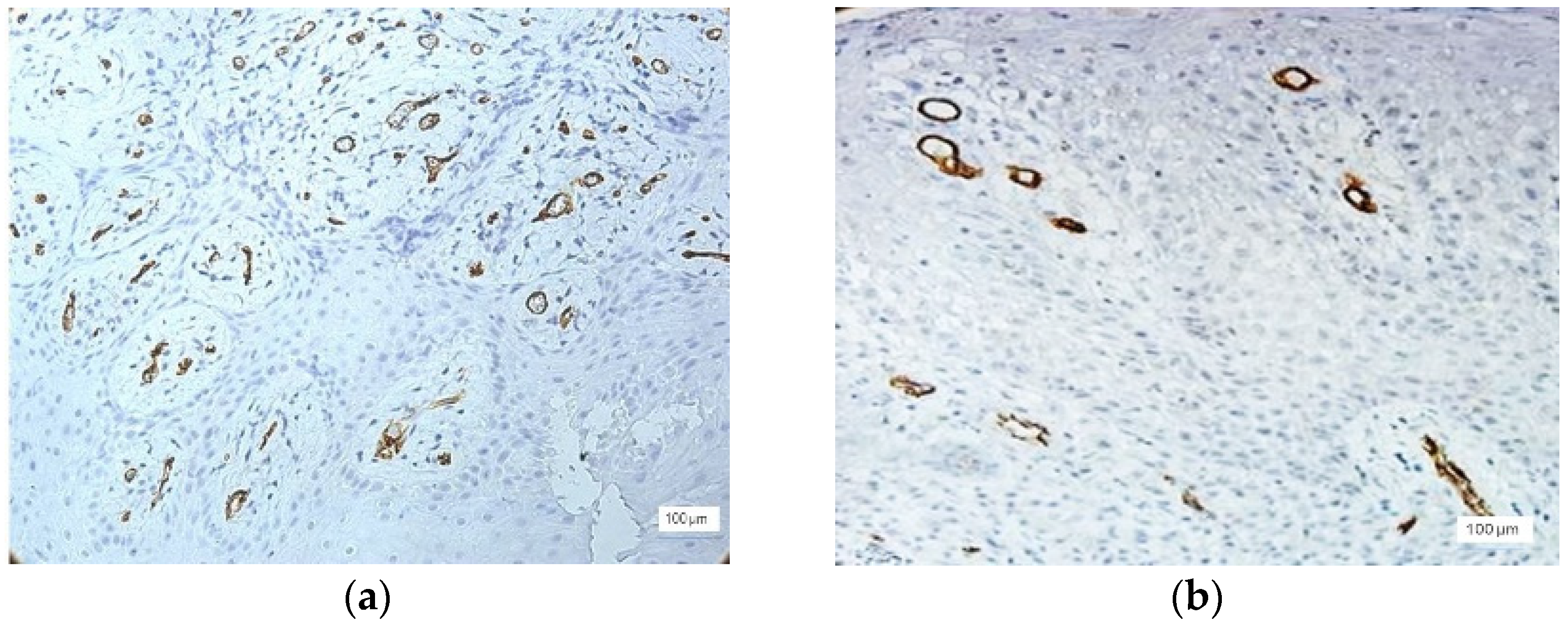 Jcm 11 02758 g008a 550