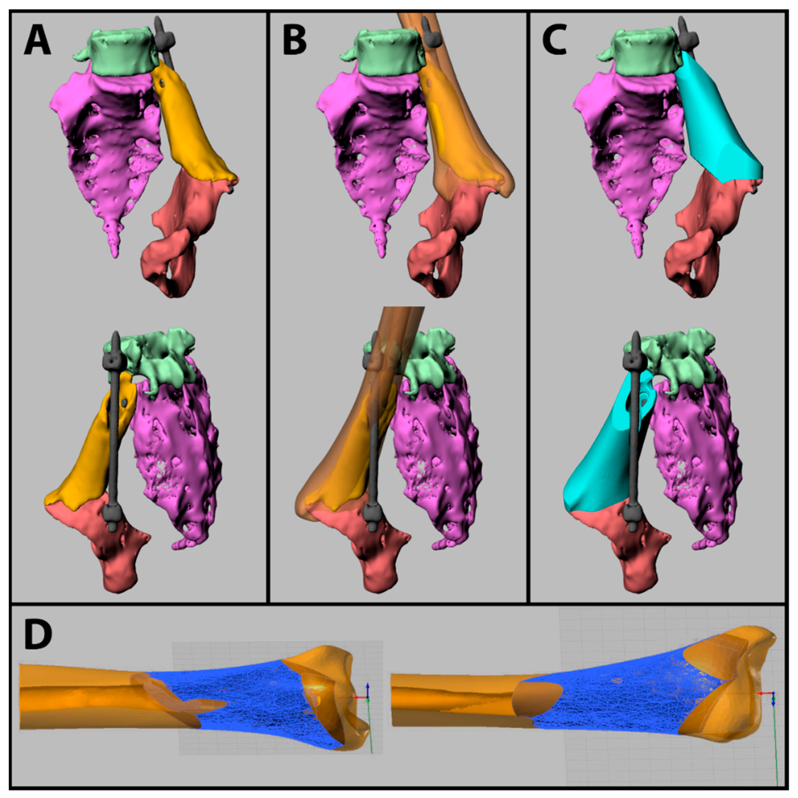 Jcm 11 02781 g002 550