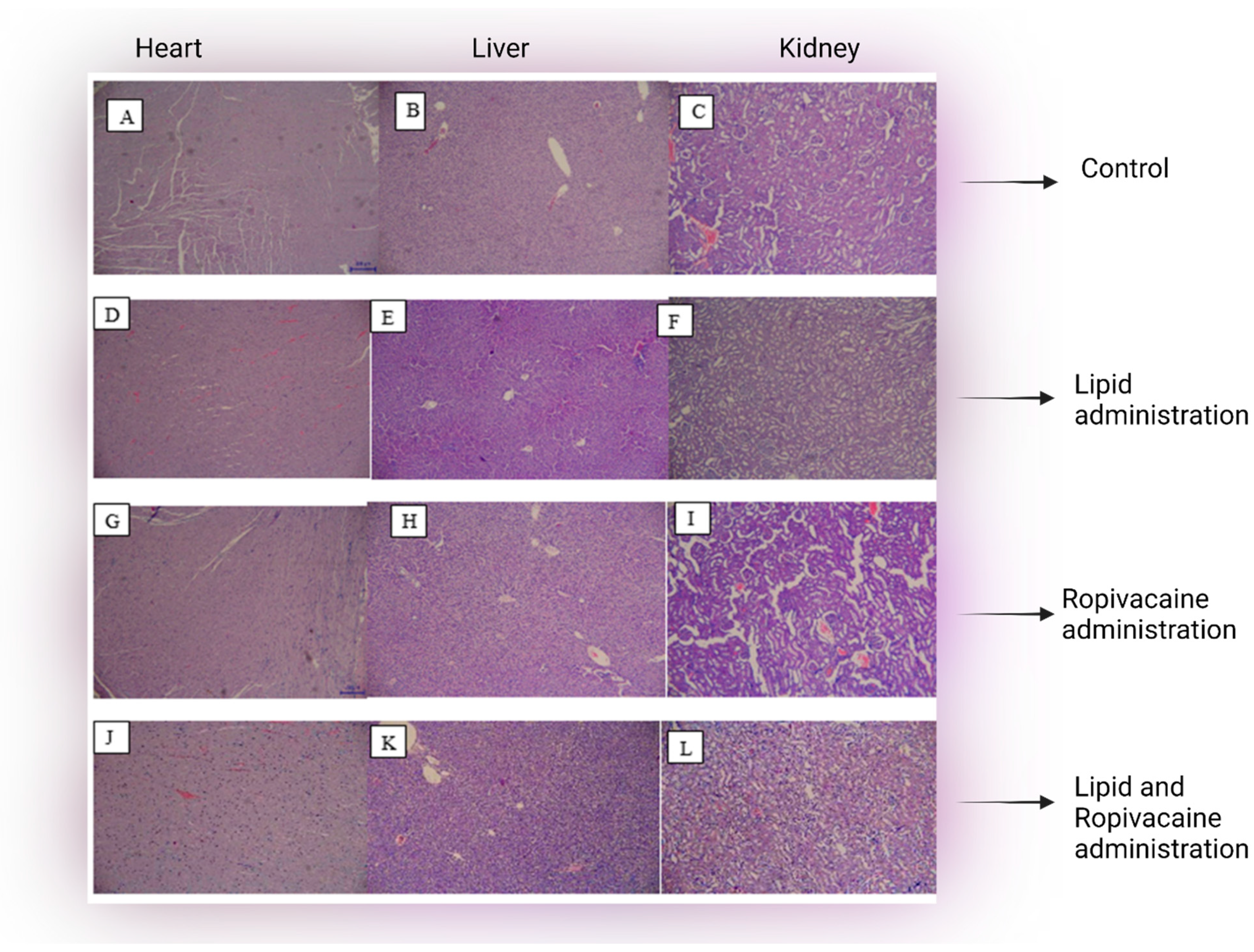 Jcm 11 02784 g003 550