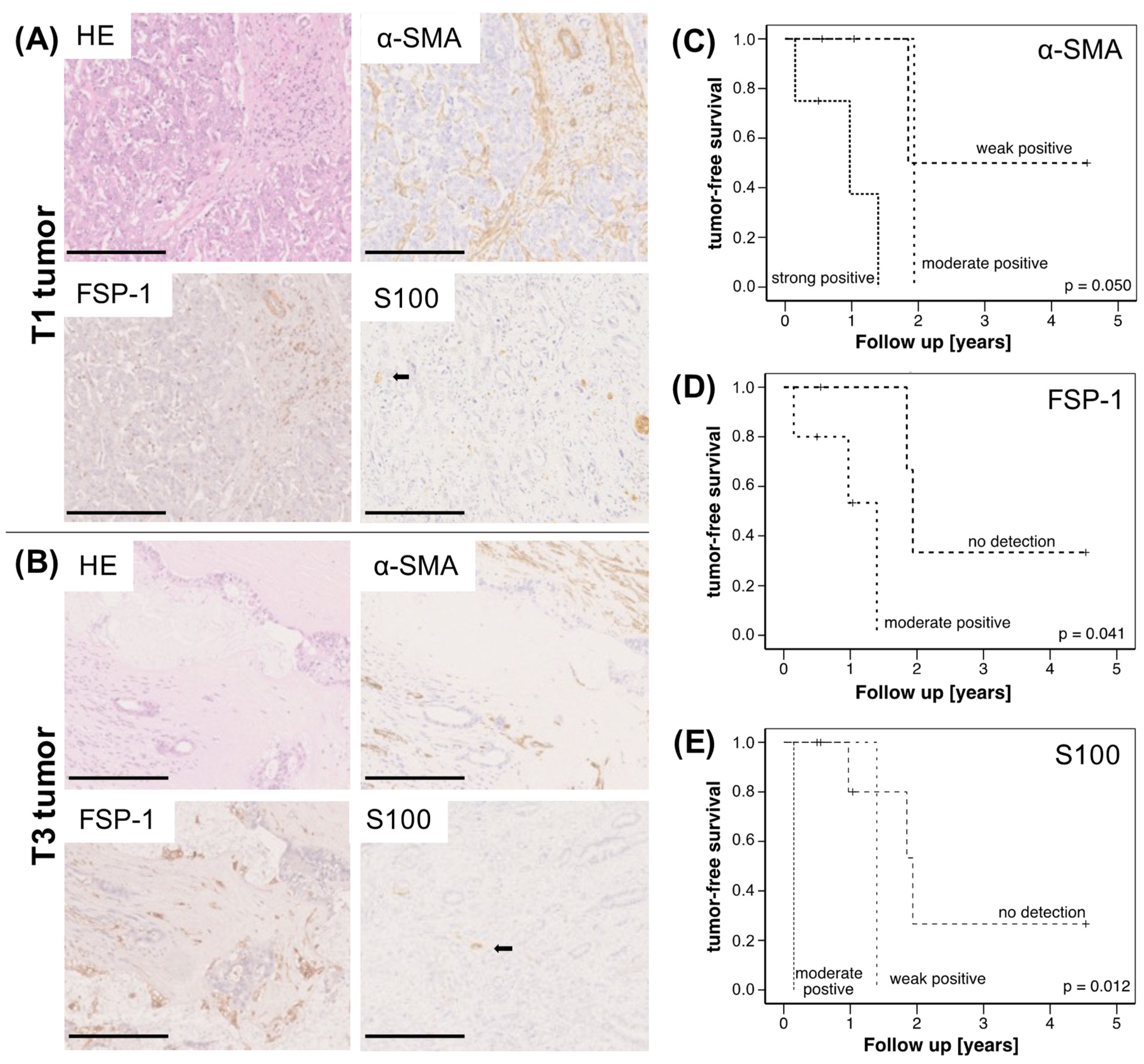 Jcm 11 02785 g001 Jcm 11 02785 g001