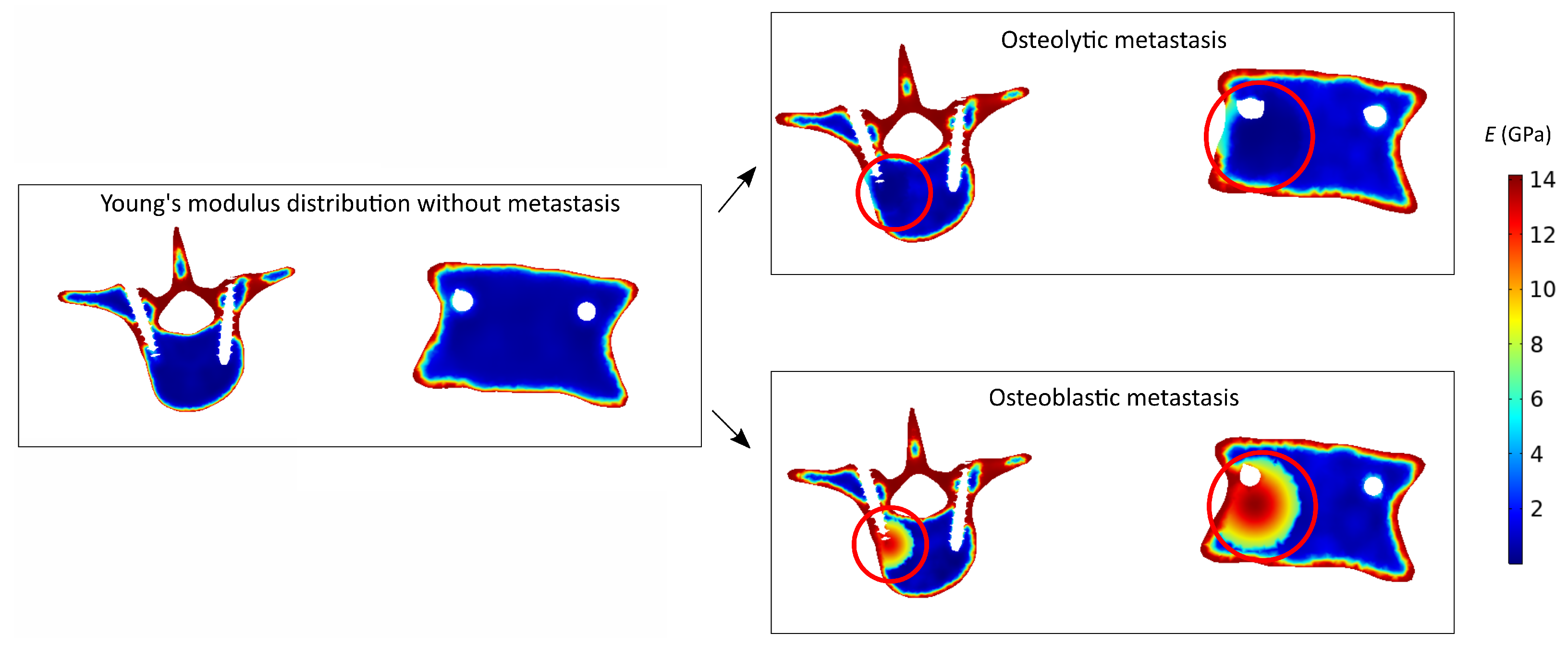 Jcm 11 02850 g003 Jcm 11 02850 g003