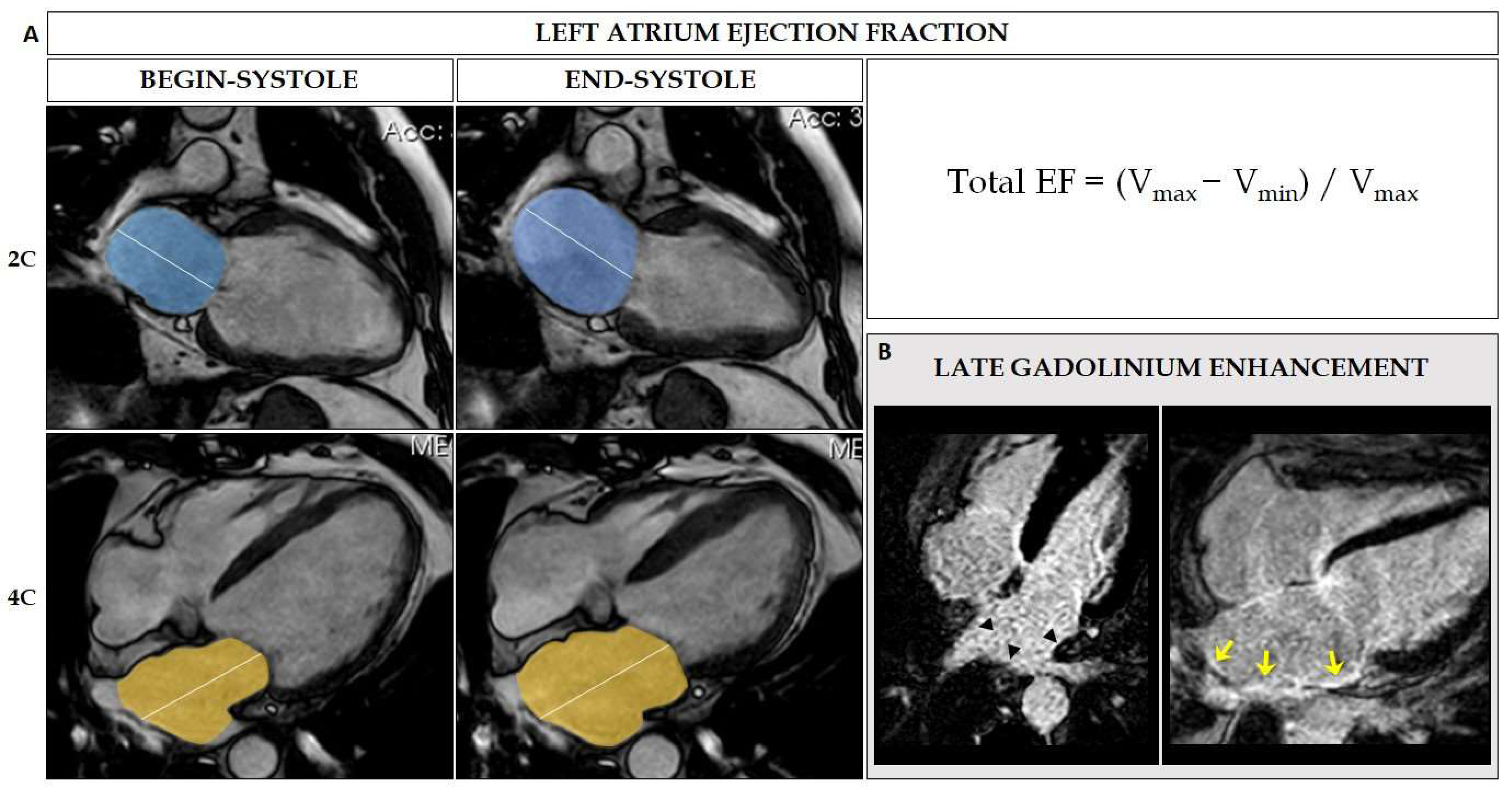 Jcm 11 02854 g007 550