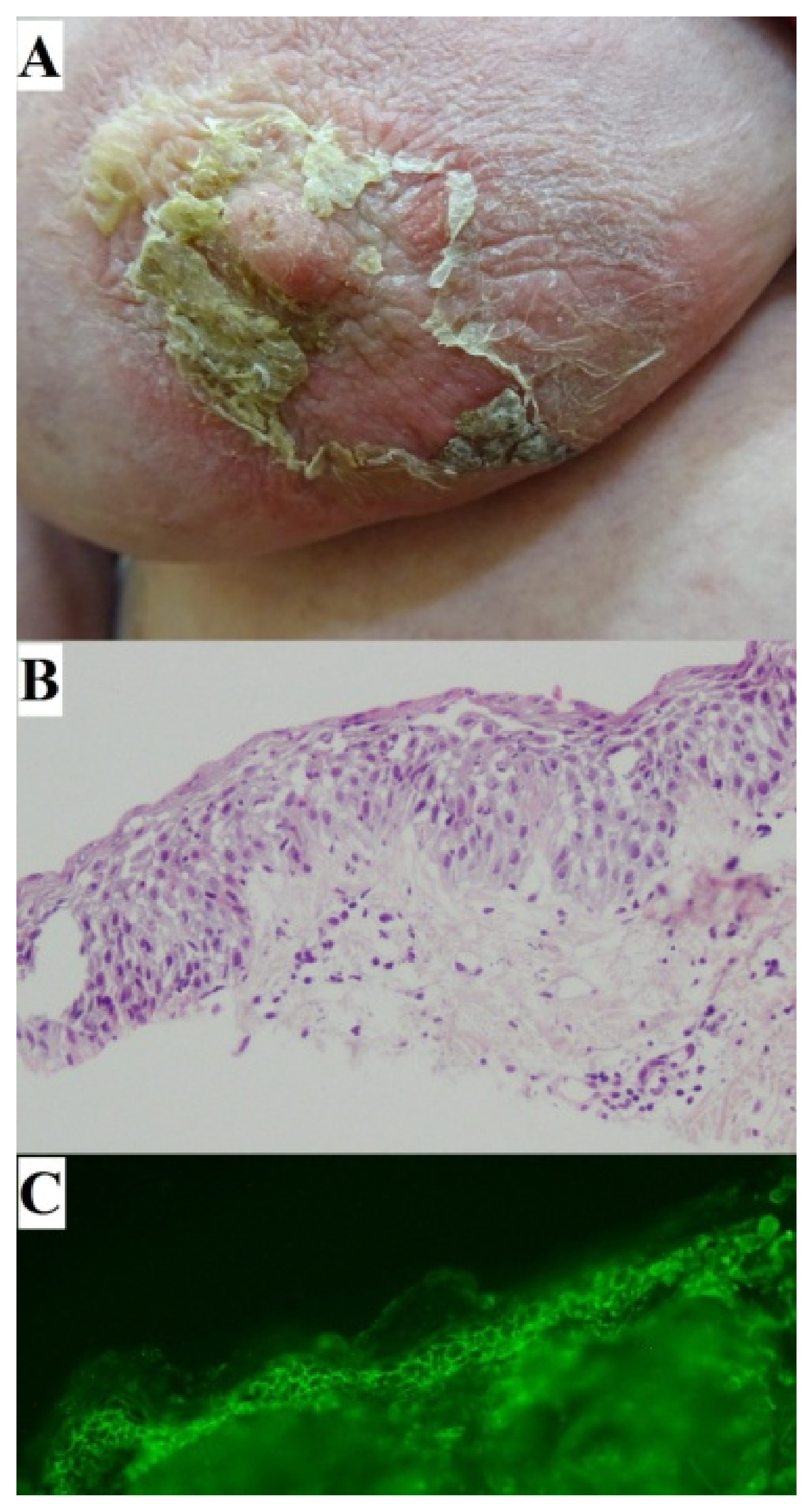 Jcm 11 02855 g003 550