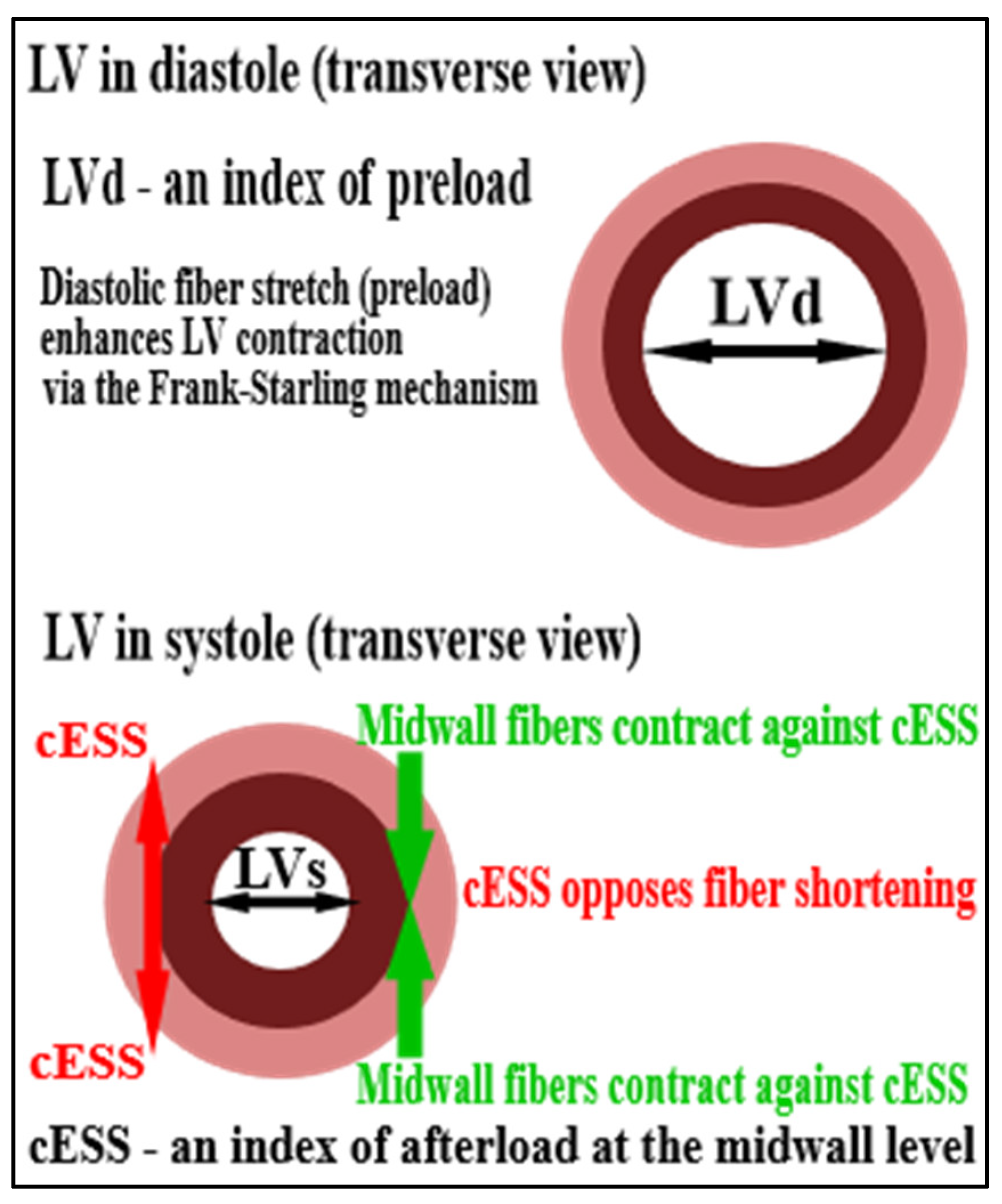 Jcm 11 02873 g003 Jcm 11 02873 g003