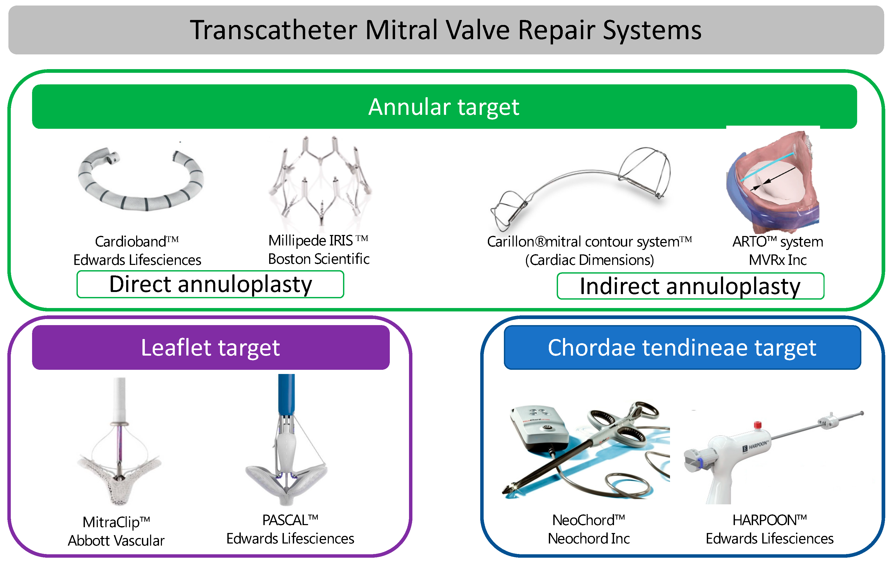 Heart Valve - Mechanical or Biological? | Dr. Ciuffo