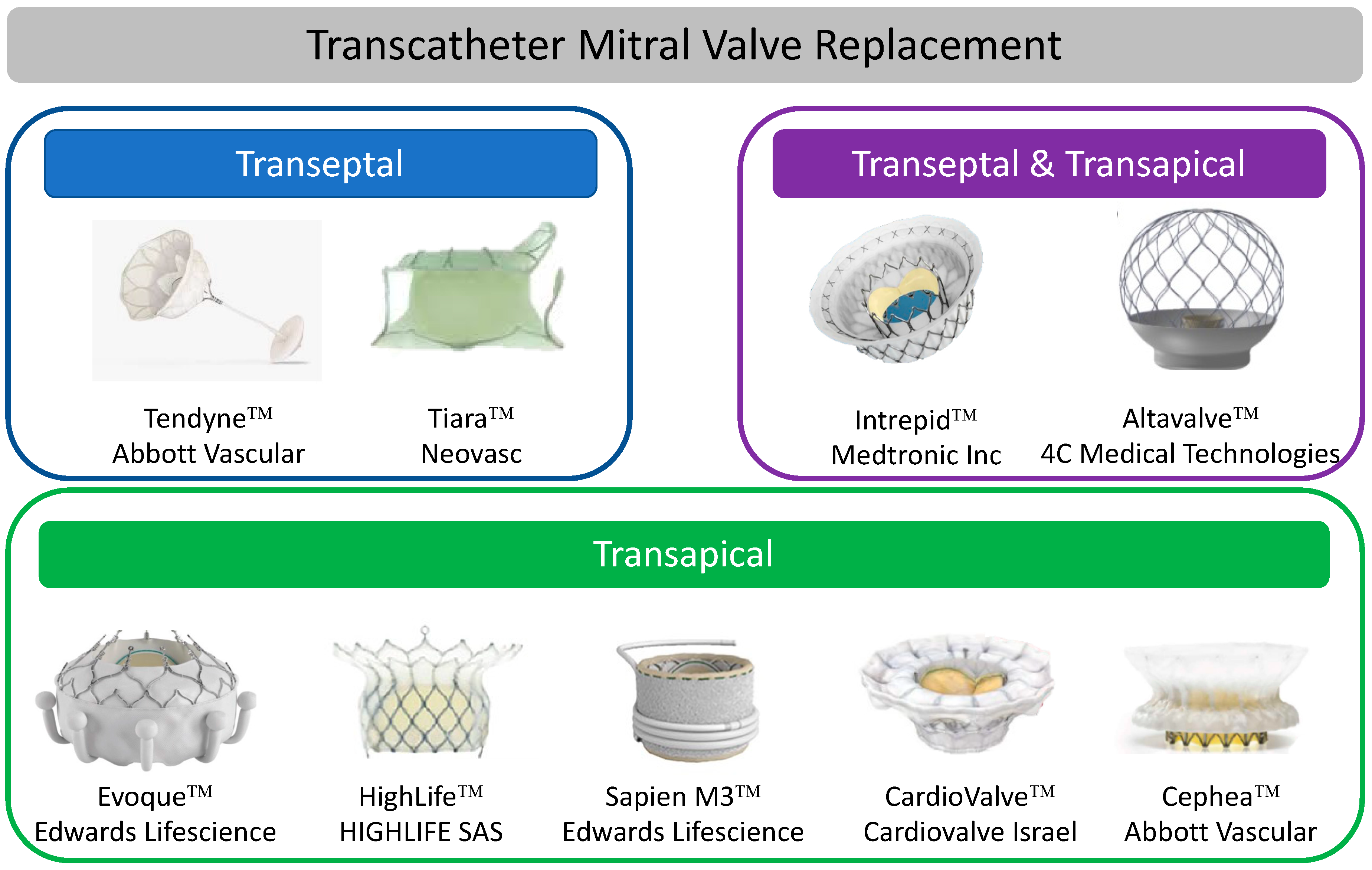 Melody valve-in-ring procedure for mitral valve replacement: feasibility in  four annuloplasty types. | Semantic Scholar