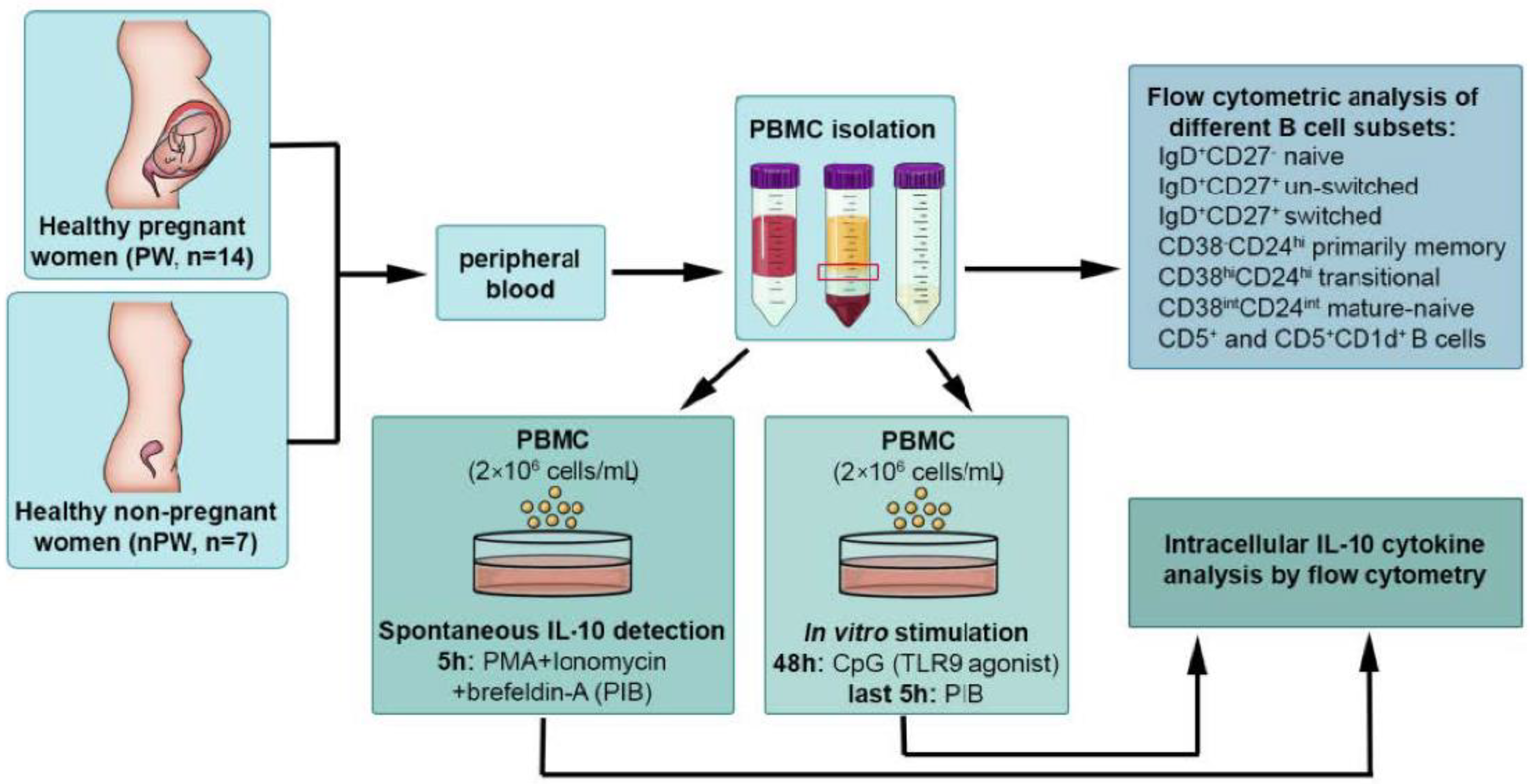 Jcm 11 03006 g001 550