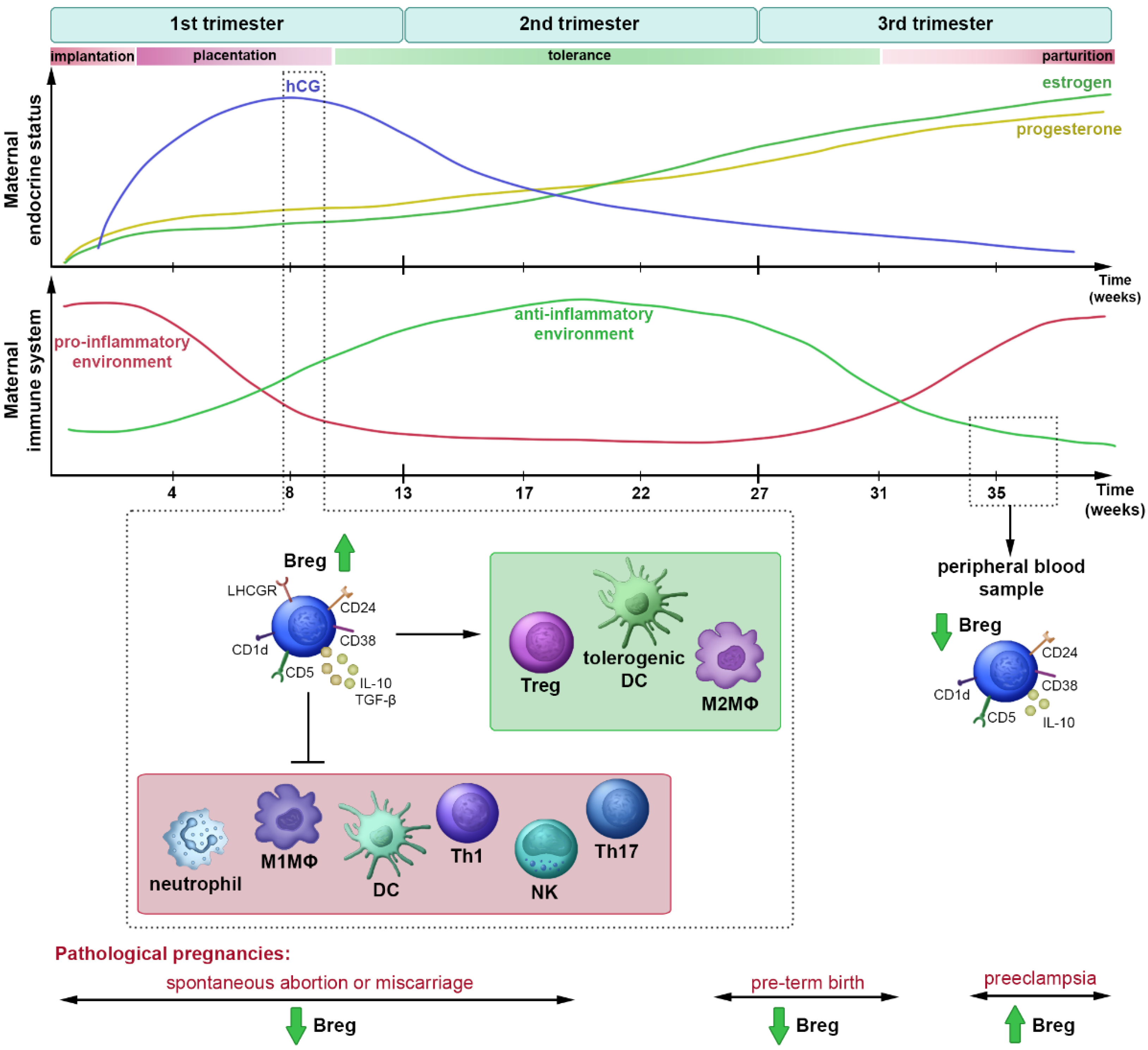 Jcm 11 03006 g005 550