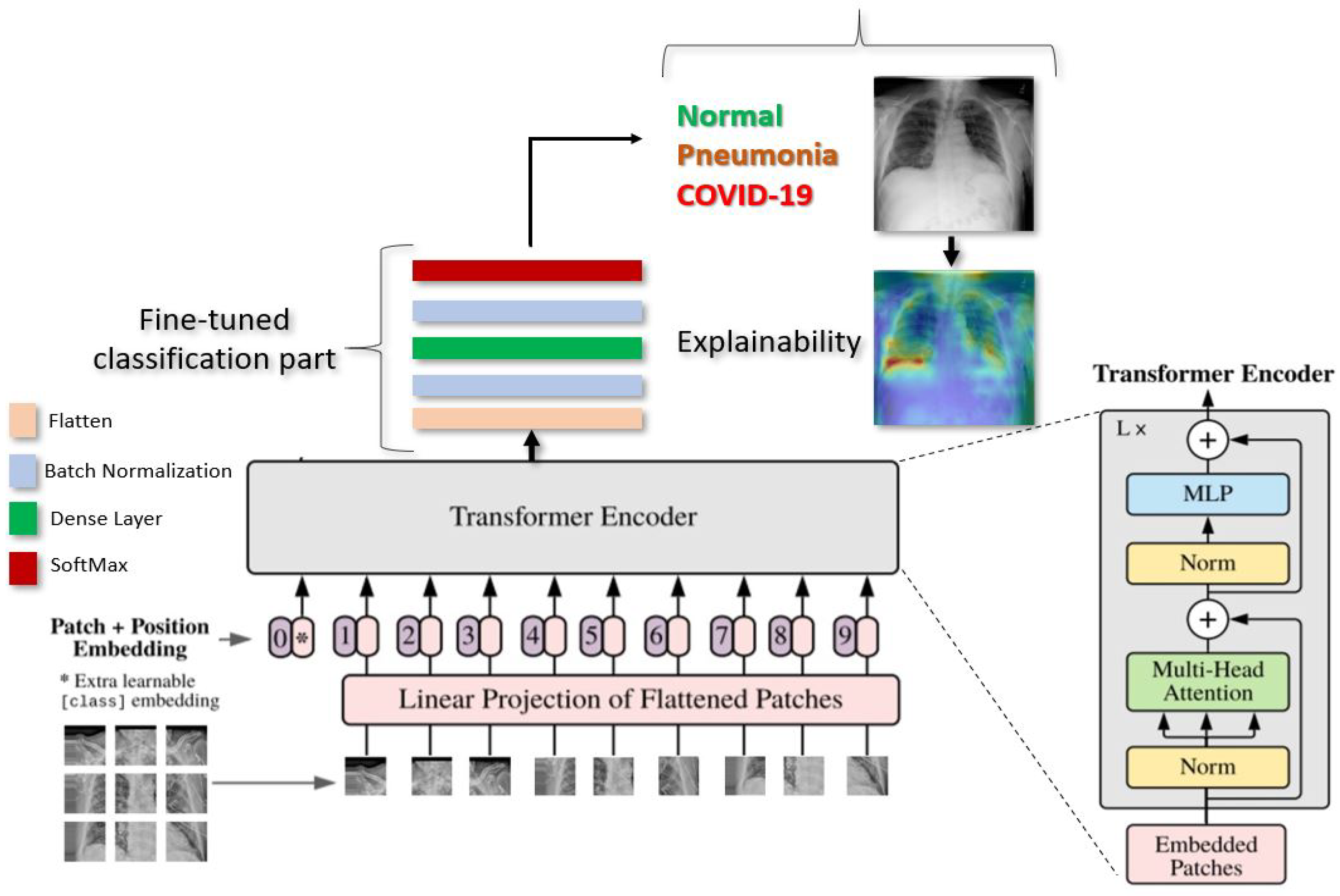 Explainable Vision Transformers and Radiomics for COVID-19 Detection in ...