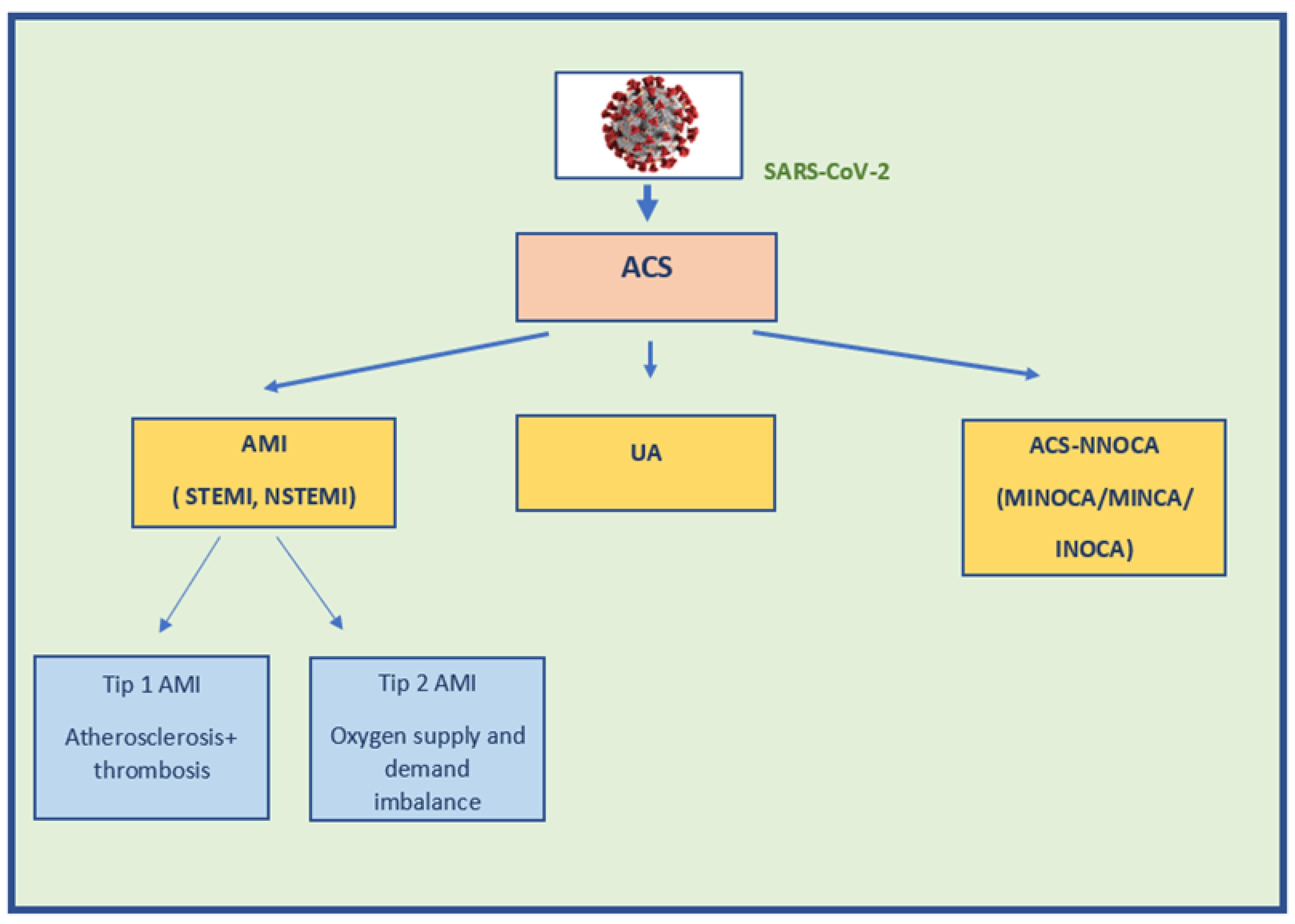 Jcm 11 03024 g001 550