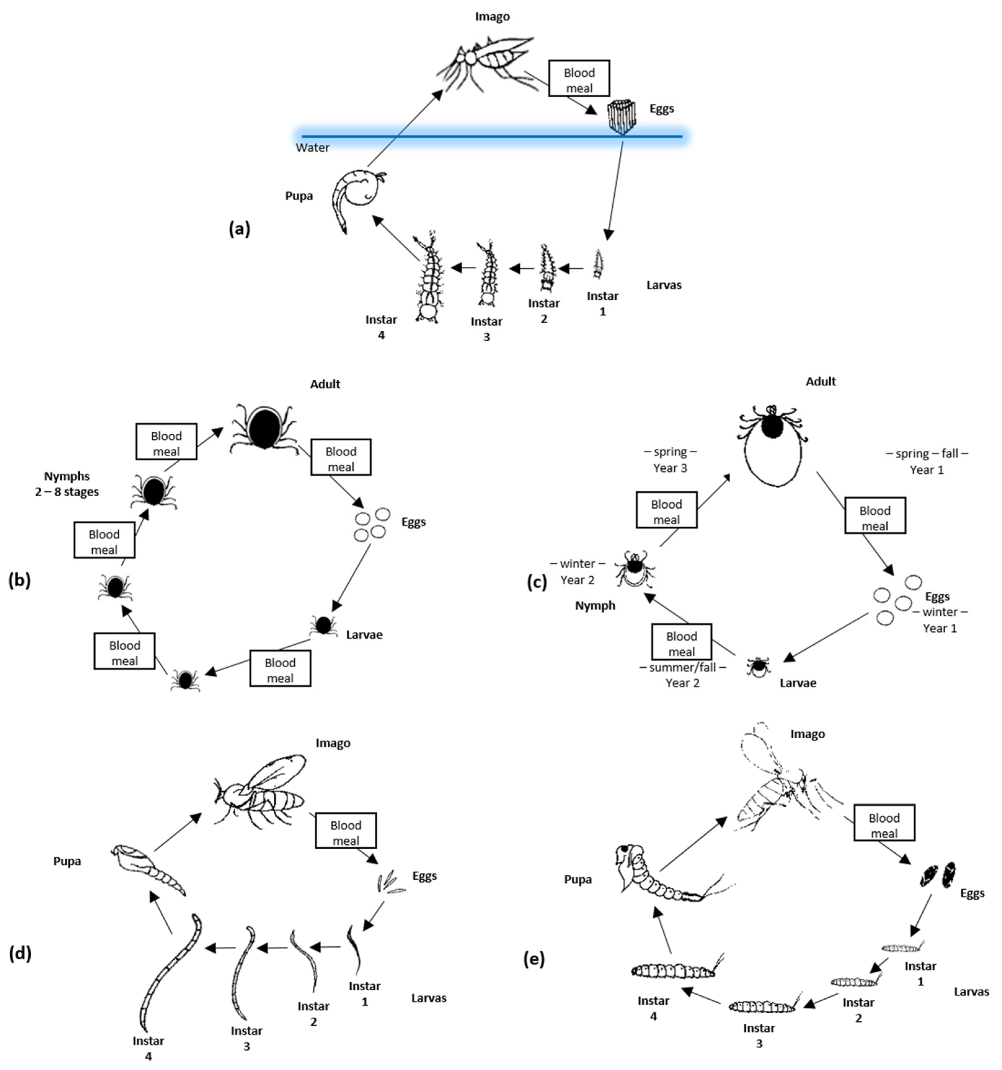 Jcm 11 03026 g001 Jcm 11 03026 g001