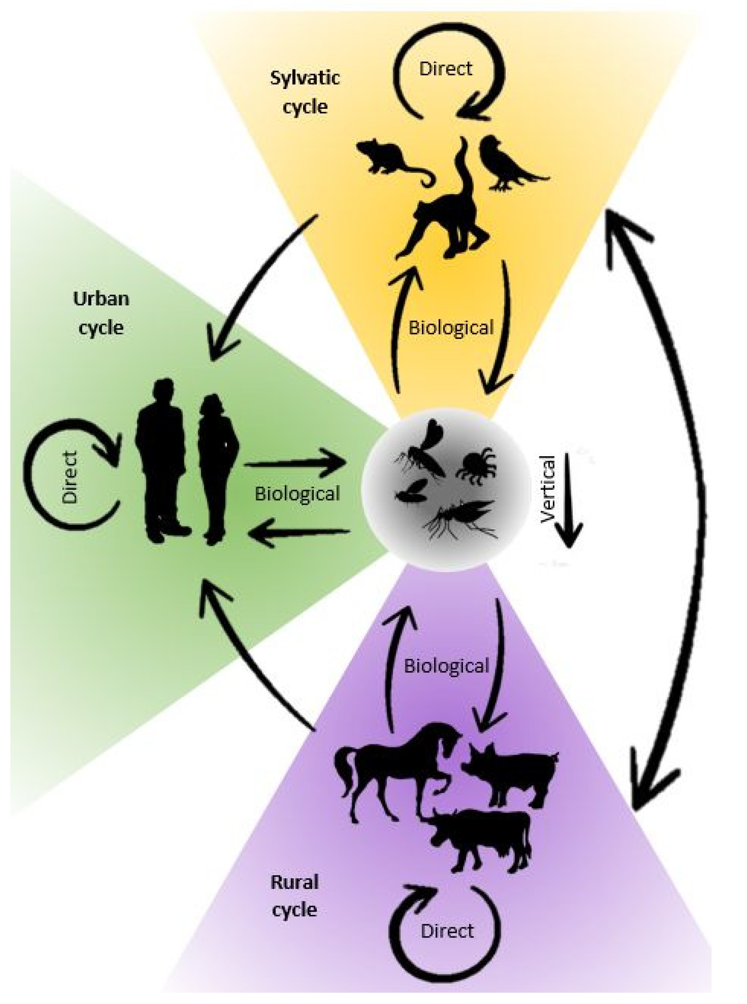 Jcm 11 03026 g002 Jcm 11 03026 g002