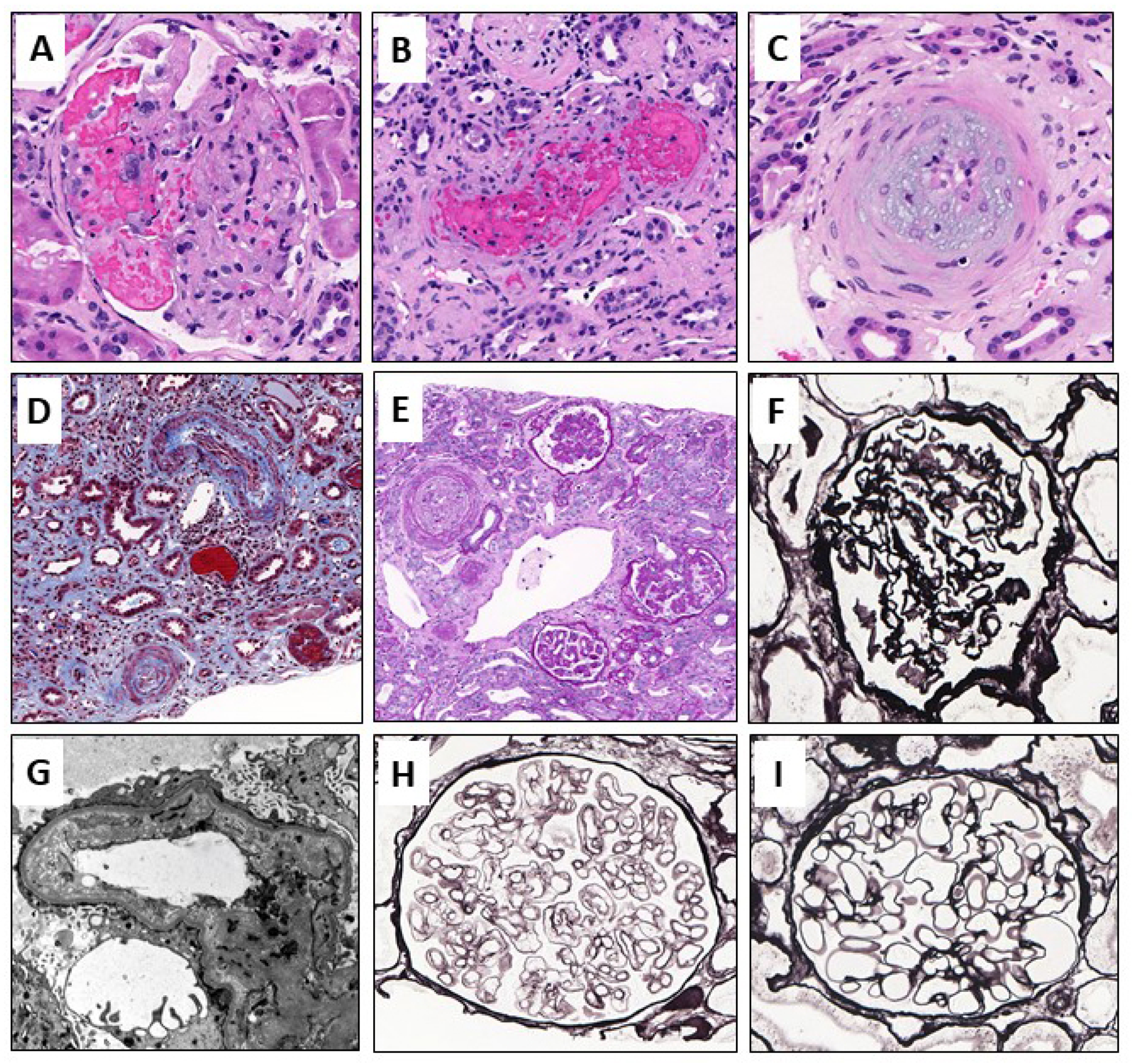 Jcm 11 03124 g002 550