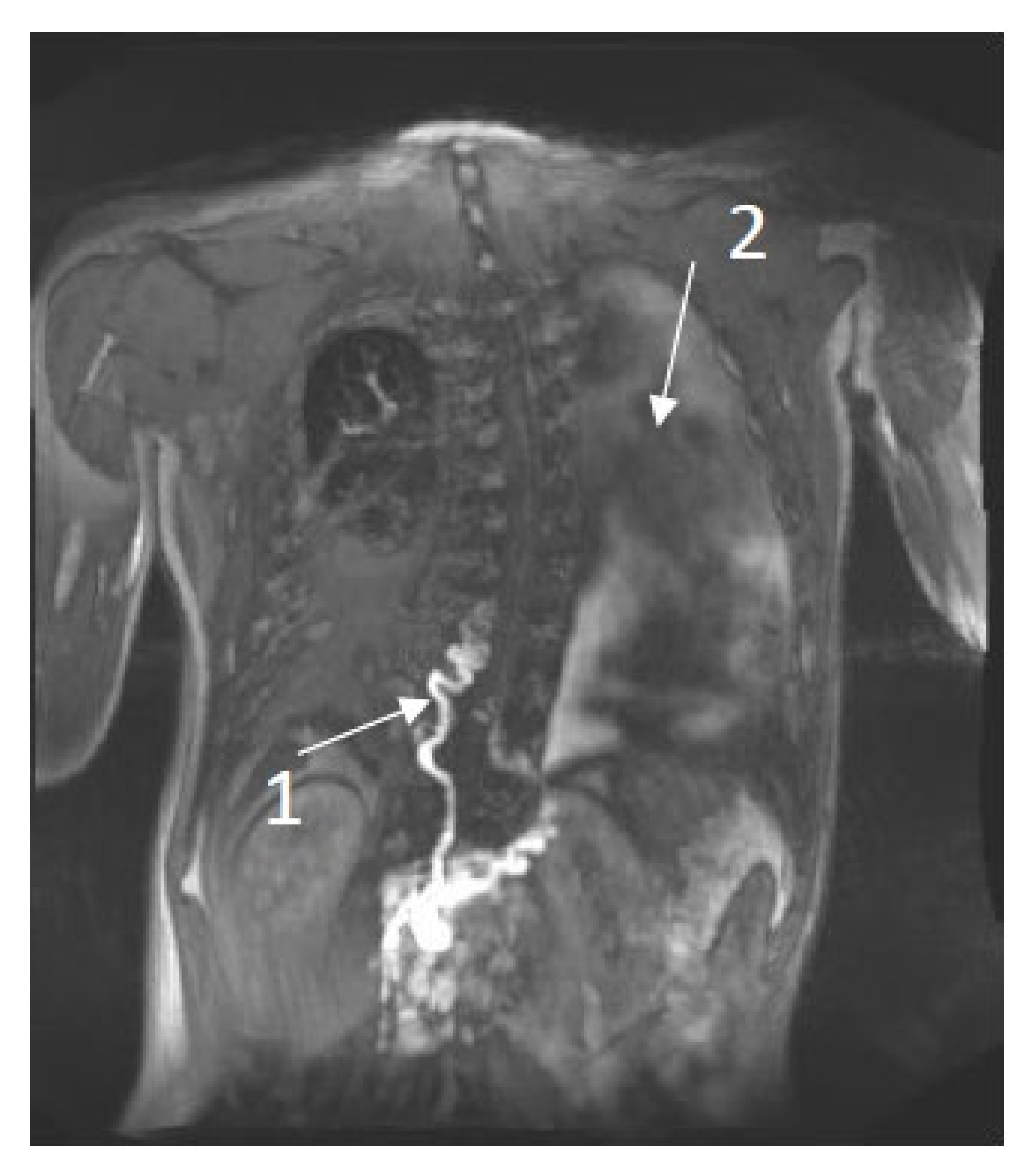 Jcm 11 03128 g001 550