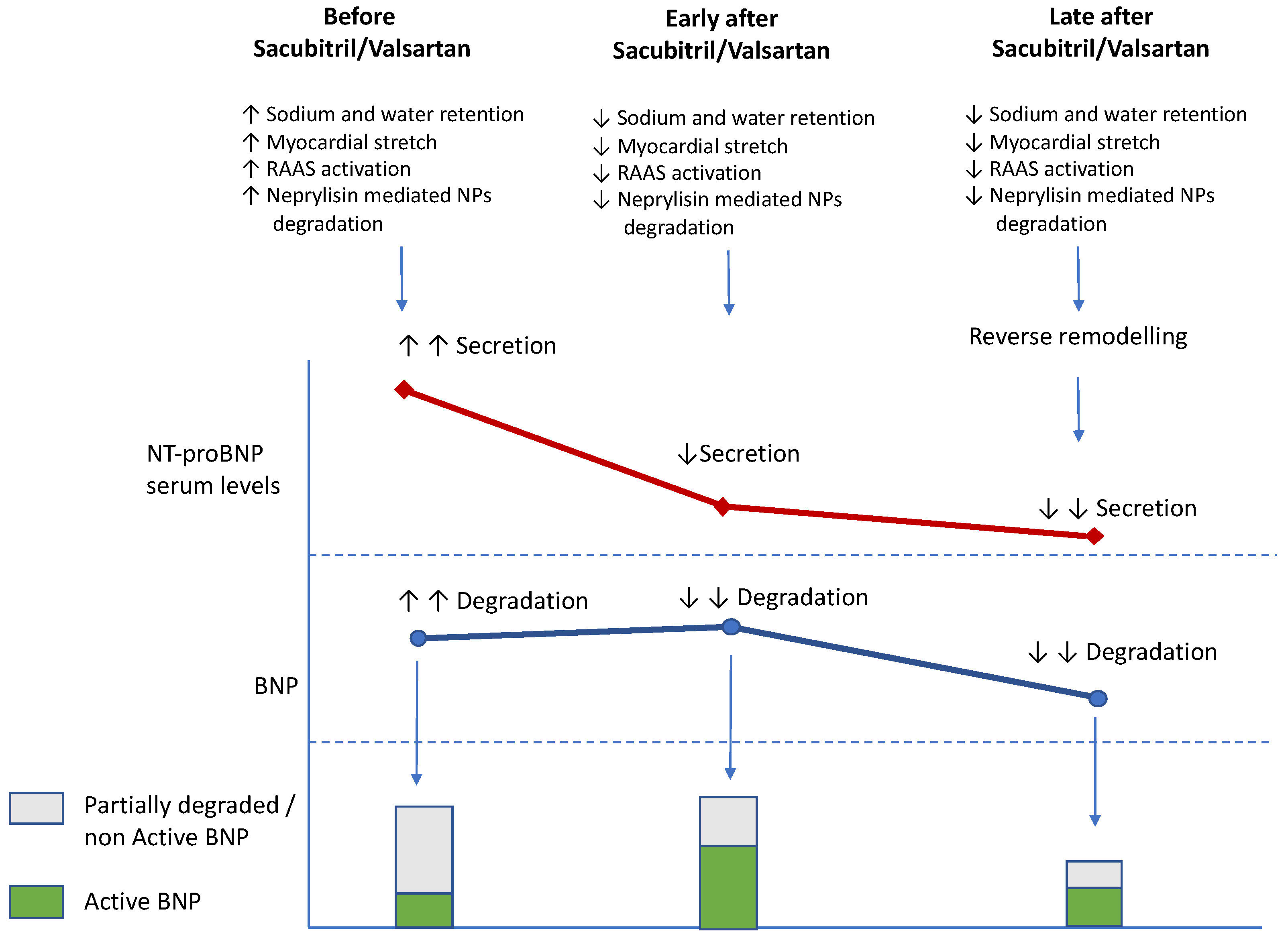 Jcm 11 03192 g002 550