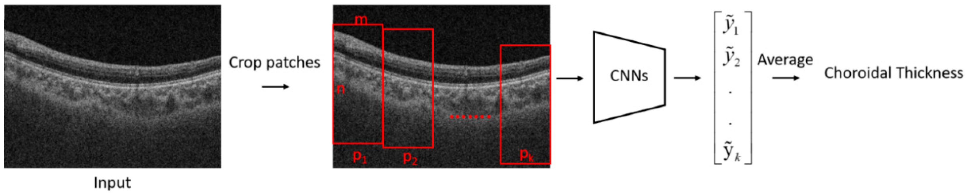 Jcm 11 03203 g001 550