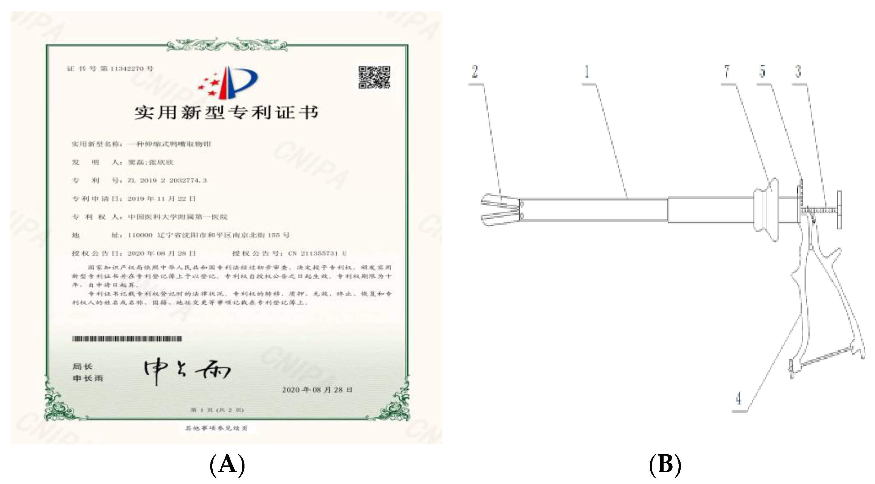 Jcm 11 03221 g006 Jcm 11 03221 g006