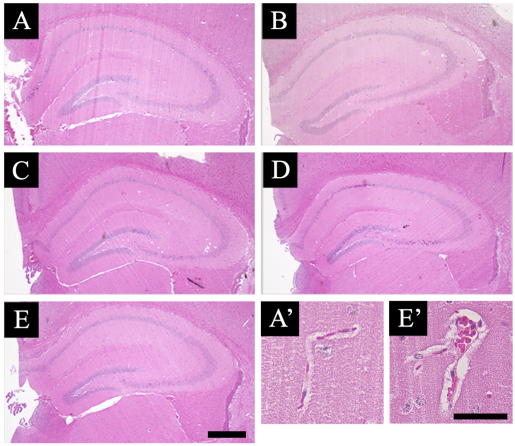 Jcm 11 03310 g001 550