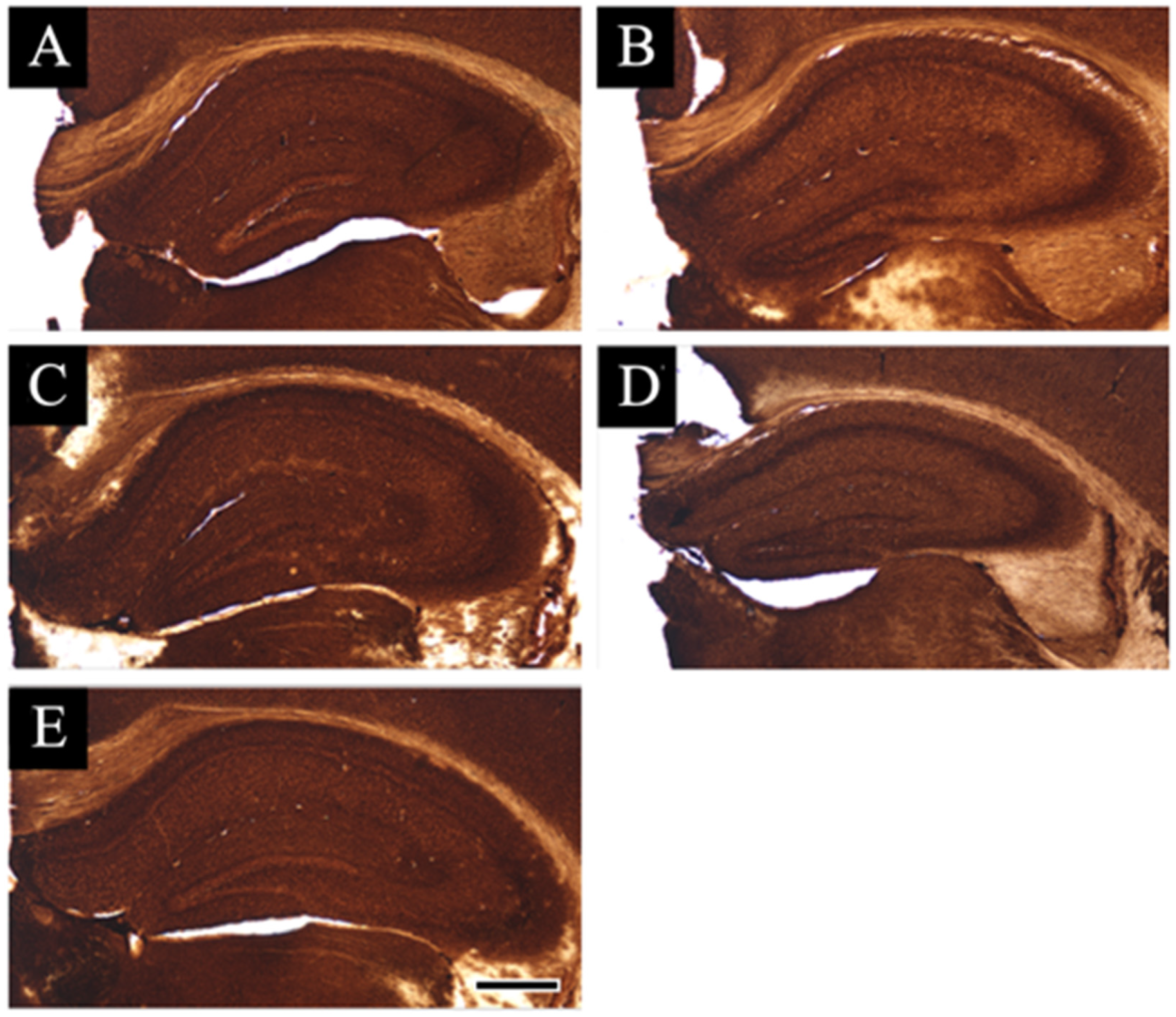 Jcm 11 03310 g003 550