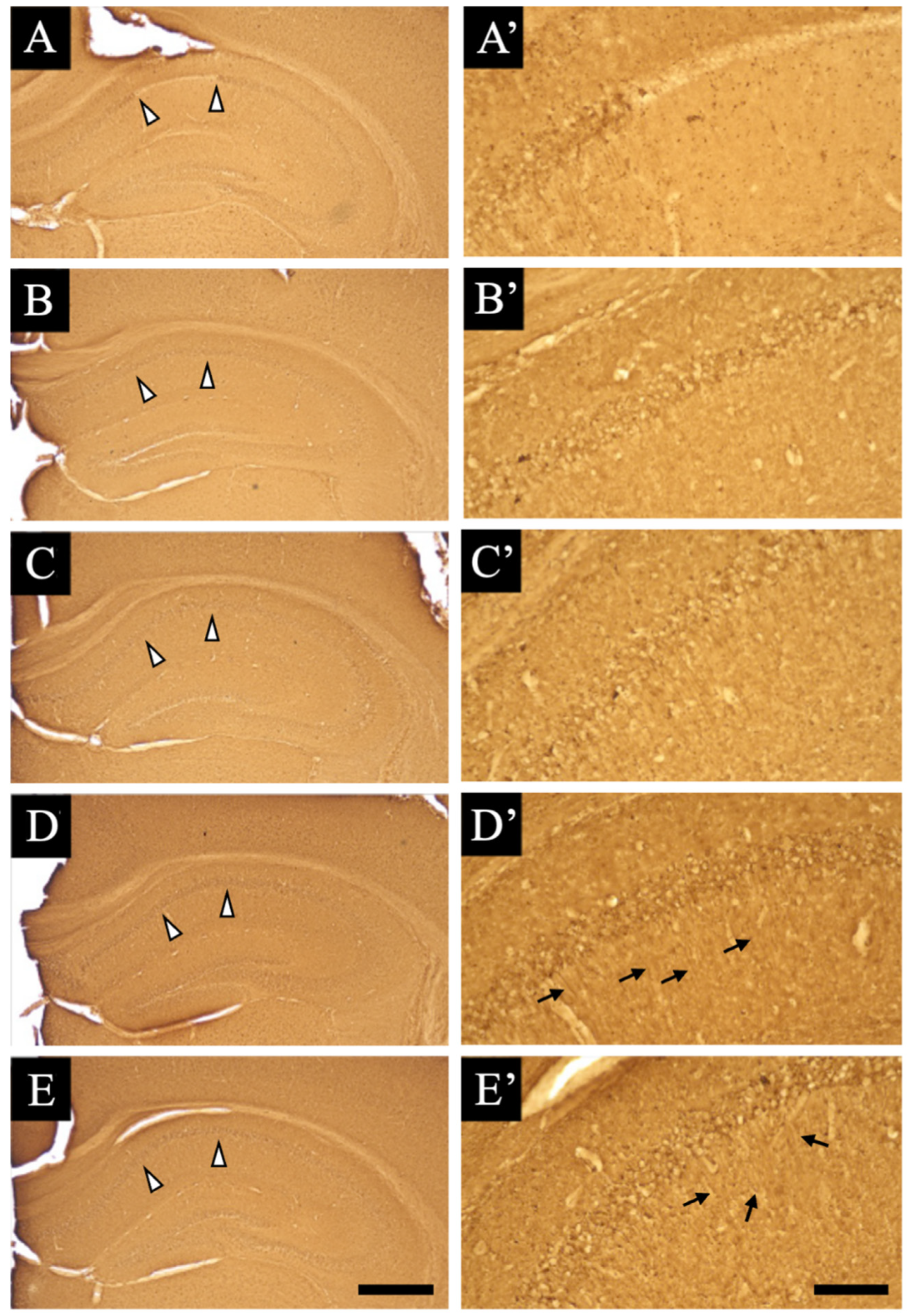Jcm 11 03310 g006 550
