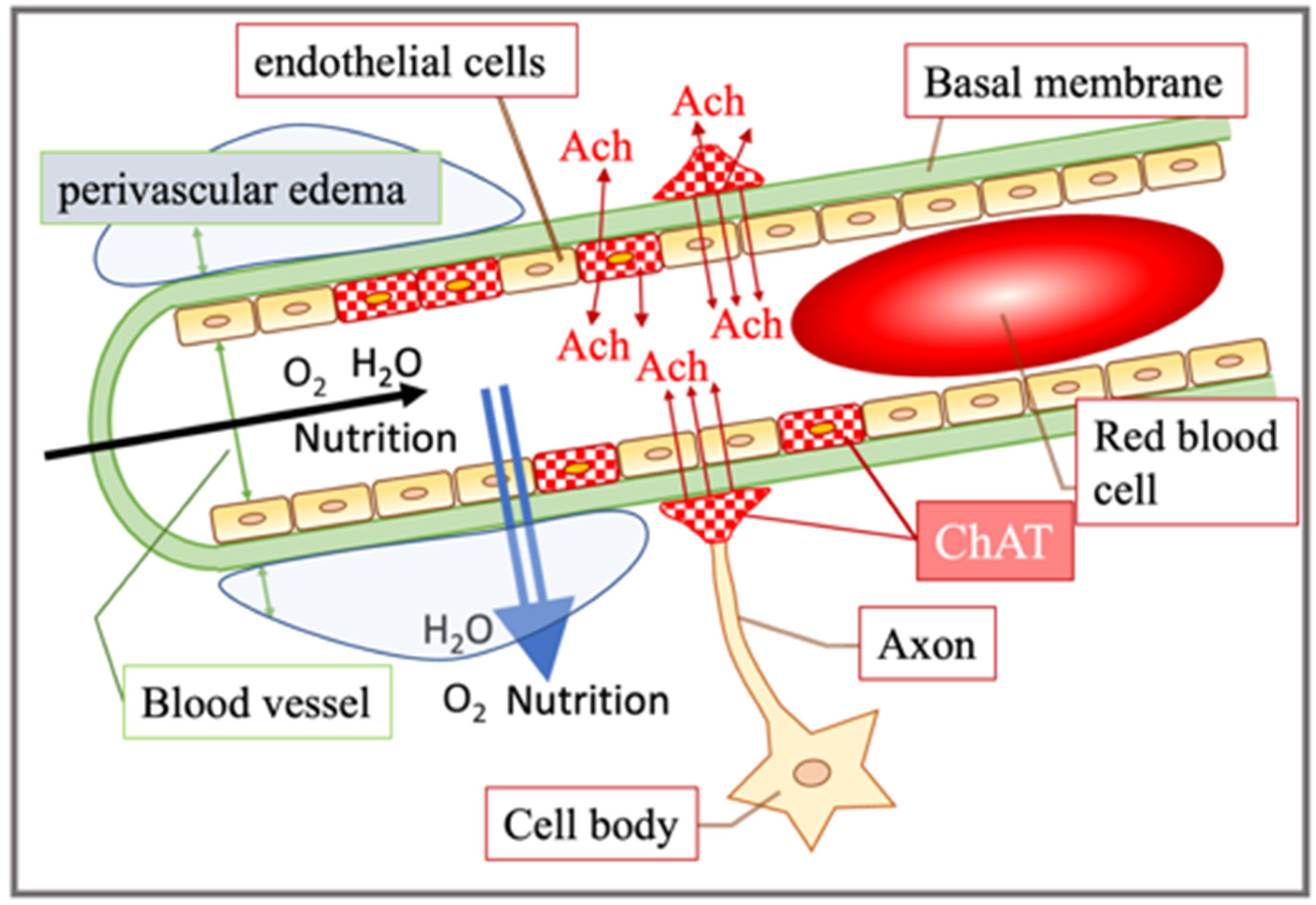 Jcm 11 03310 g009 550