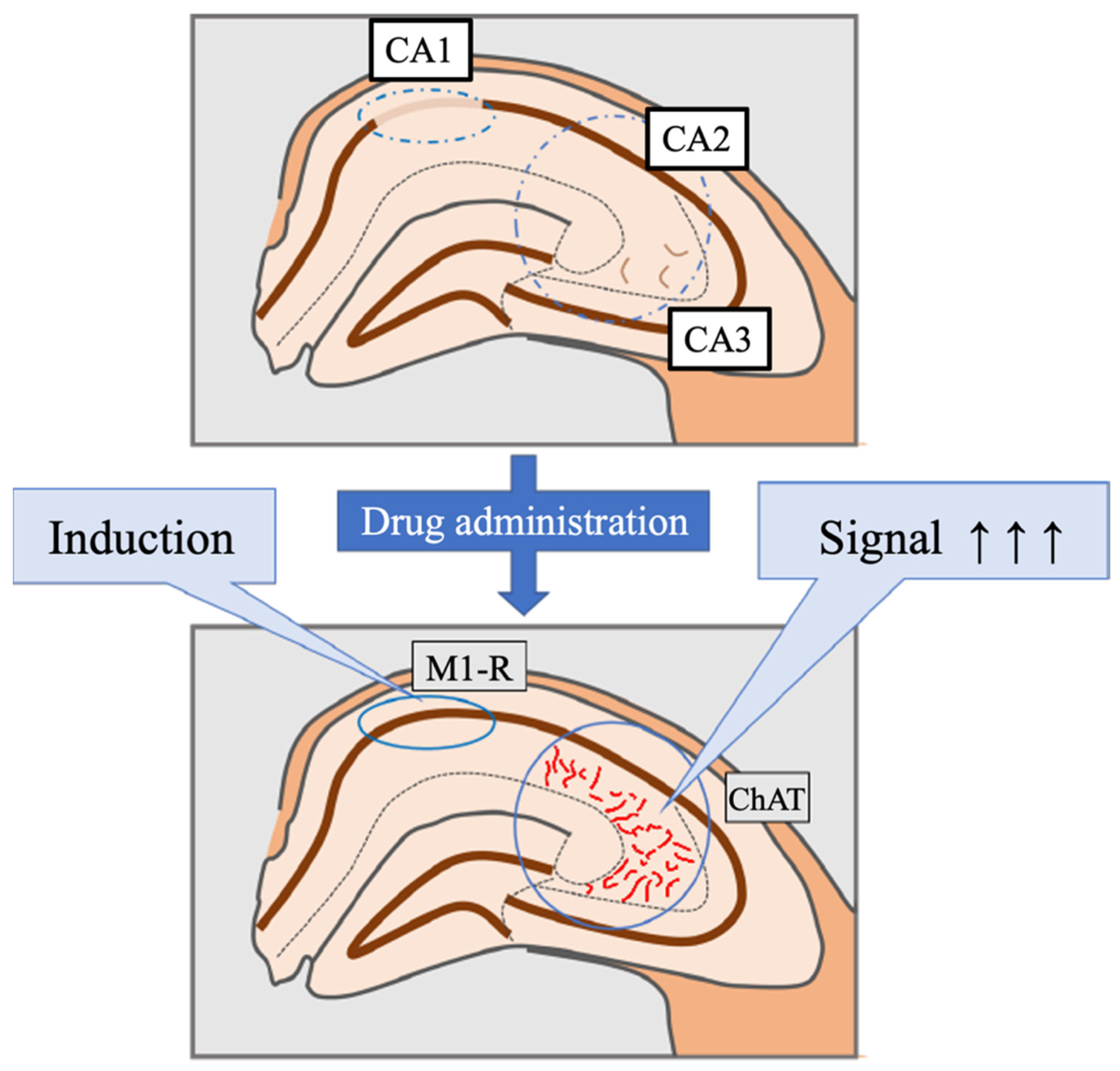 Jcm 11 03310 g010 550