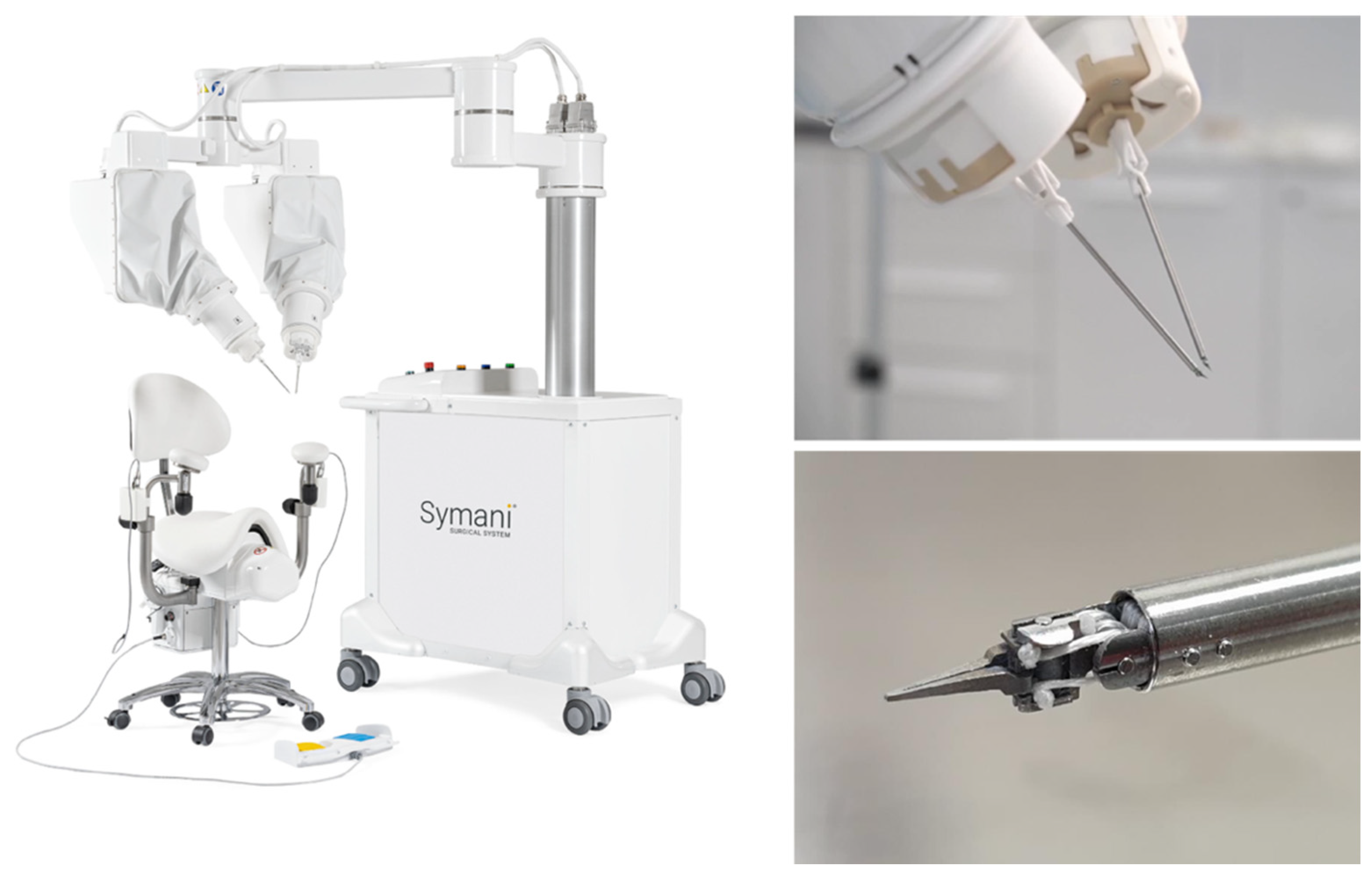 JCM Free FullText RoboticAssisted Microsurgery and Its Future in