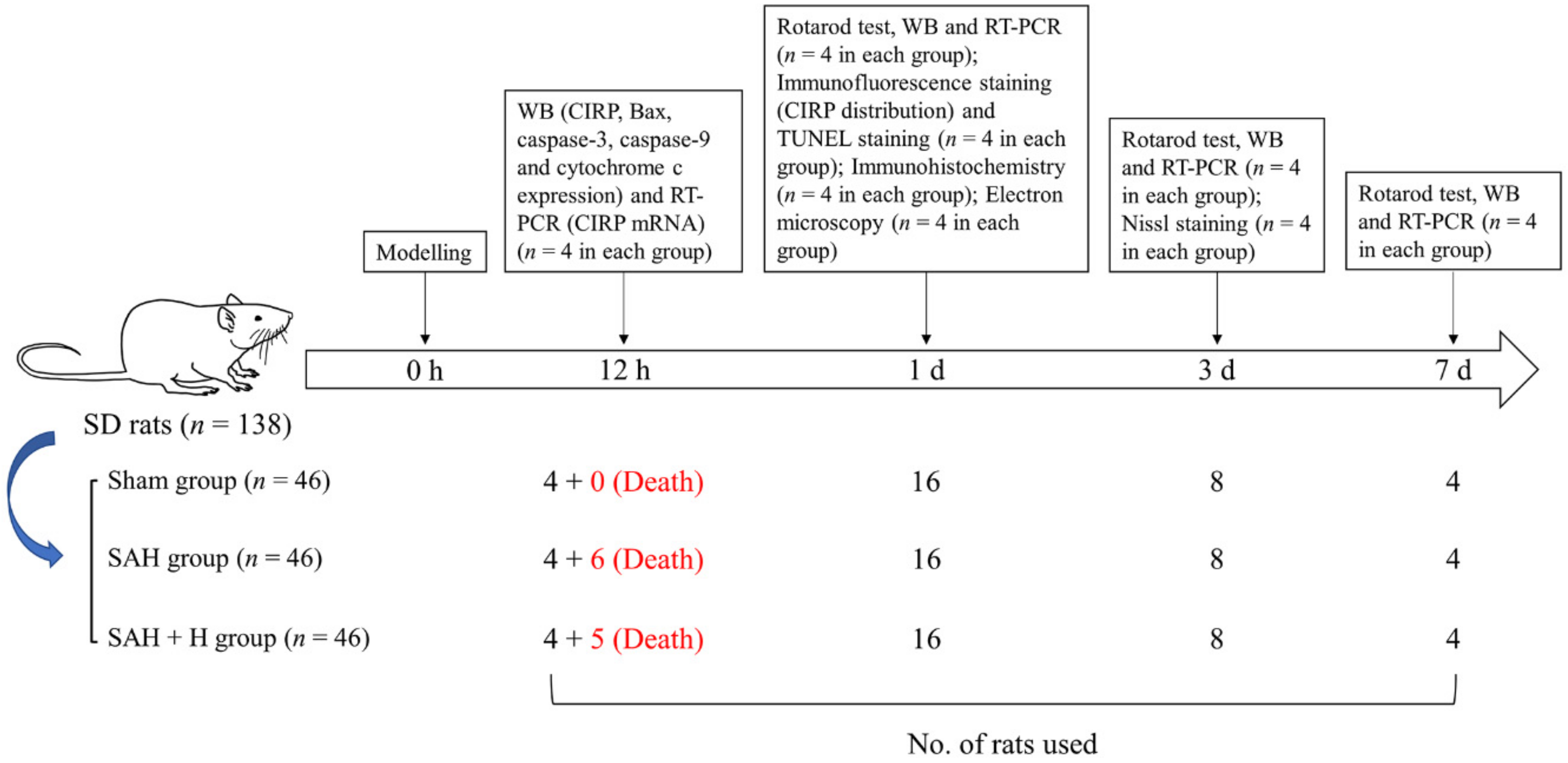 Jcm 11 03411 g001 Jcm 11 03411 g001