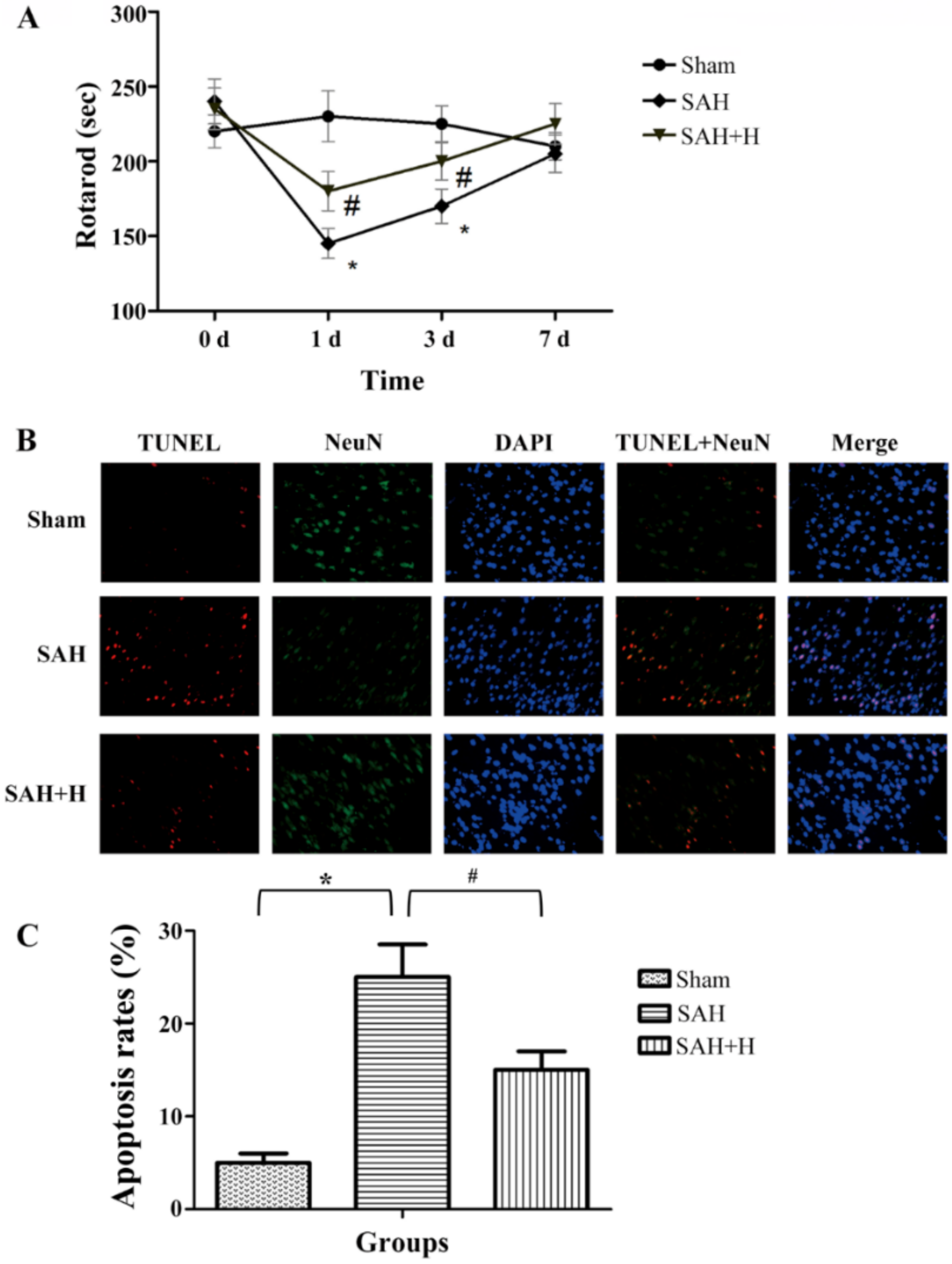 Jcm 11 03411 g002 Jcm 11 03411 g002