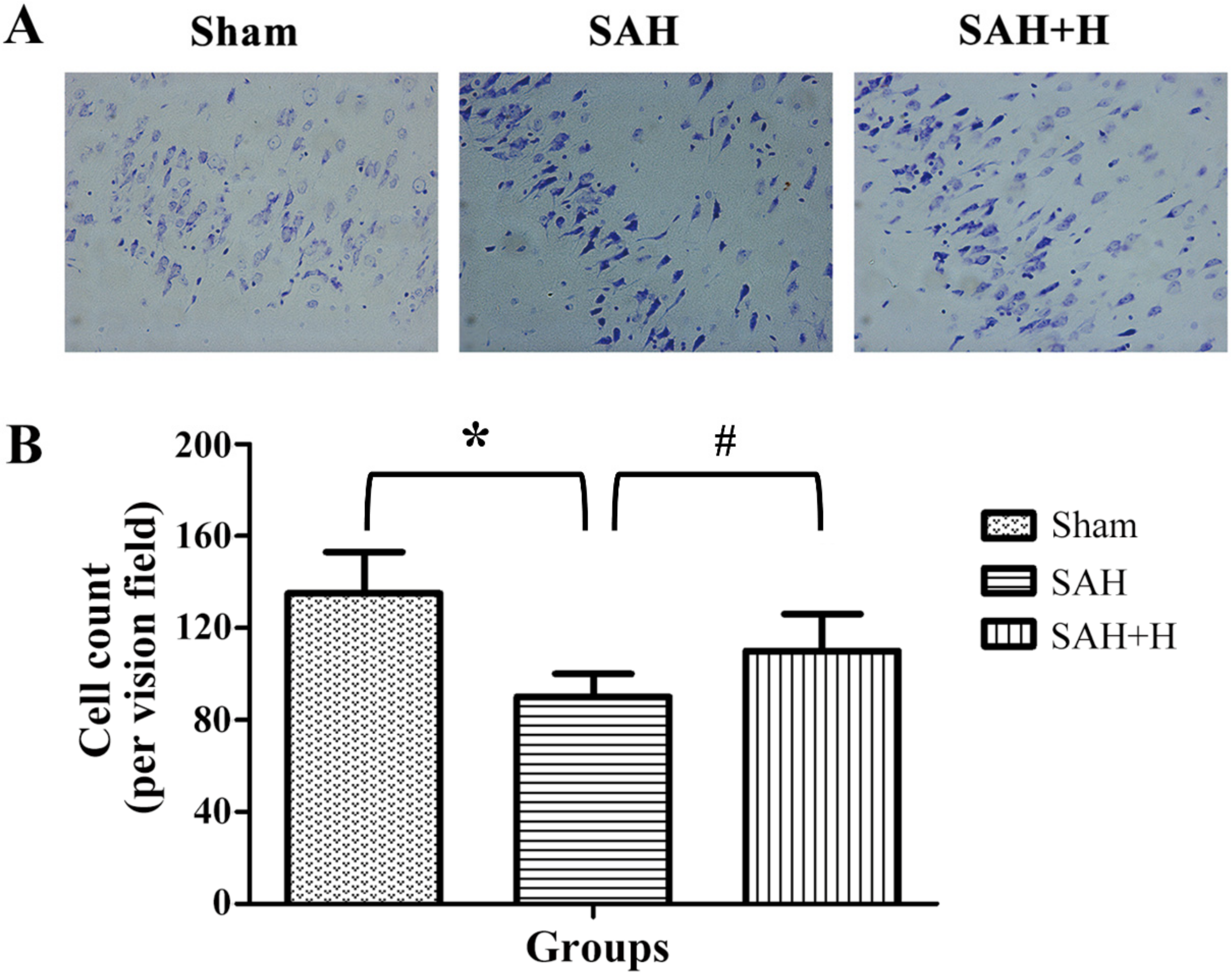 Jcm 11 03411 g003 Jcm 11 03411 g003