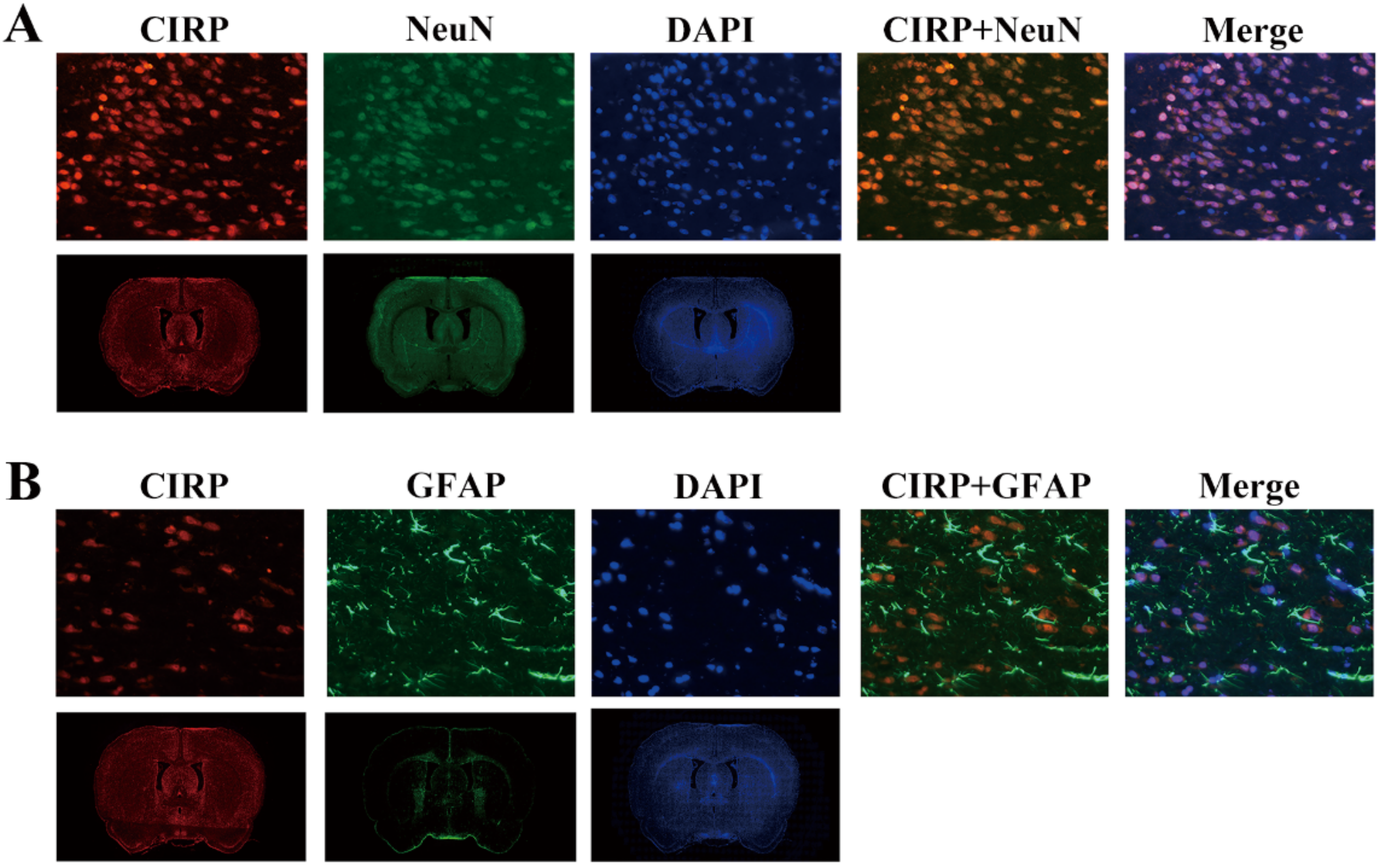 Jcm 11 03411 g004 Jcm 11 03411 g004