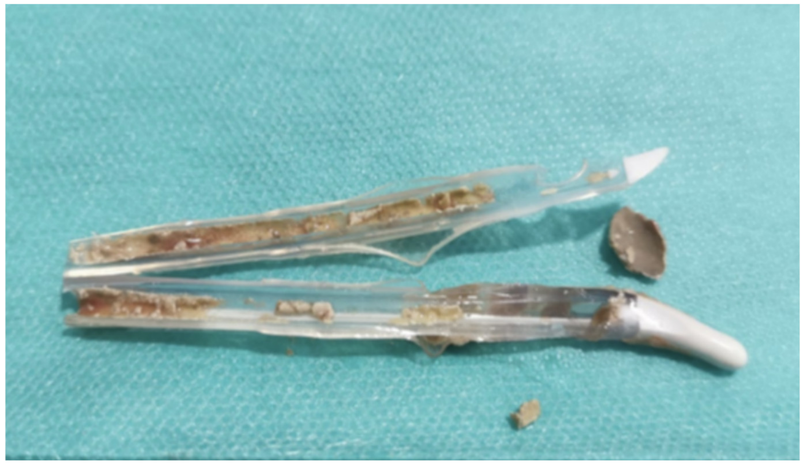 Jcm 11 03415 g001 550