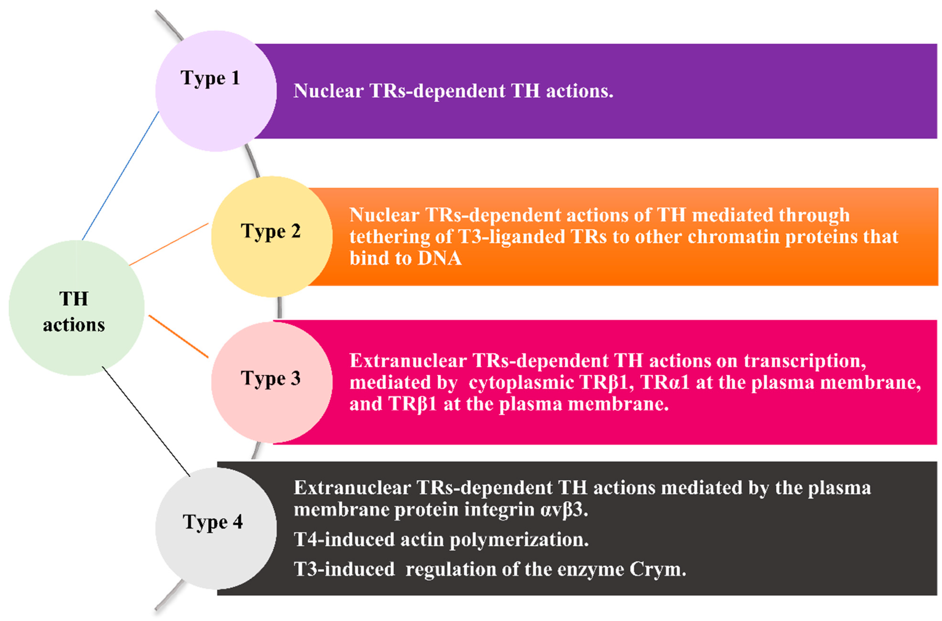 Jcm free full text the clinical relevance of hypothyroidism in 