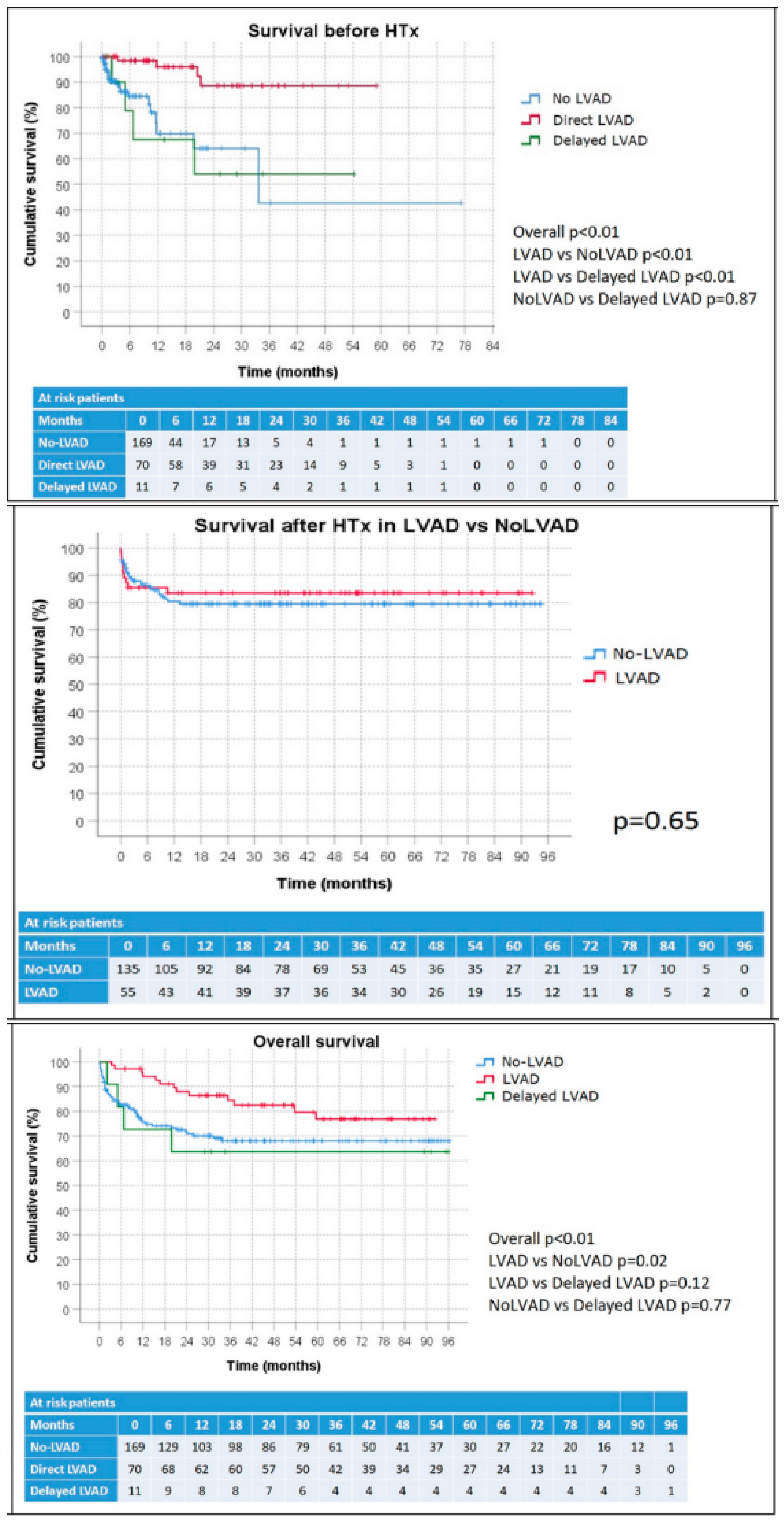 Jcm 11 03425 g001 Jcm 11 03425 g001