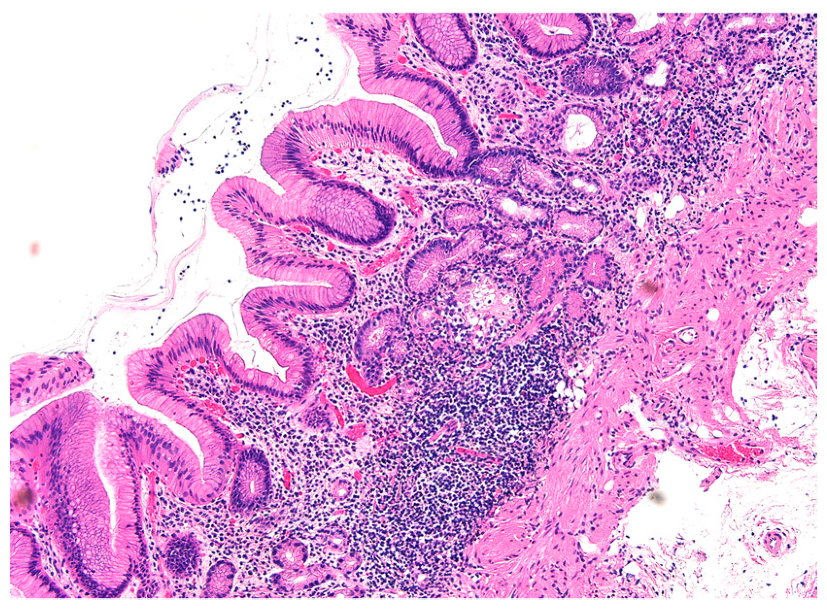 Jcm 11 03523 g001 550