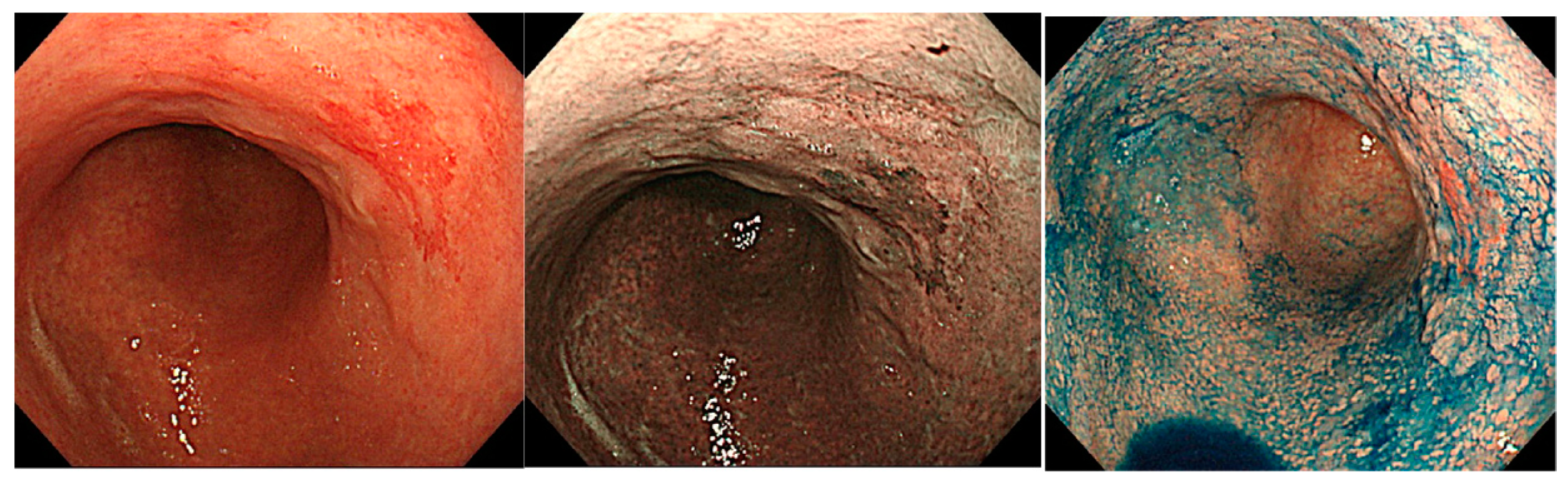 Jcm 11 03523 g008 550