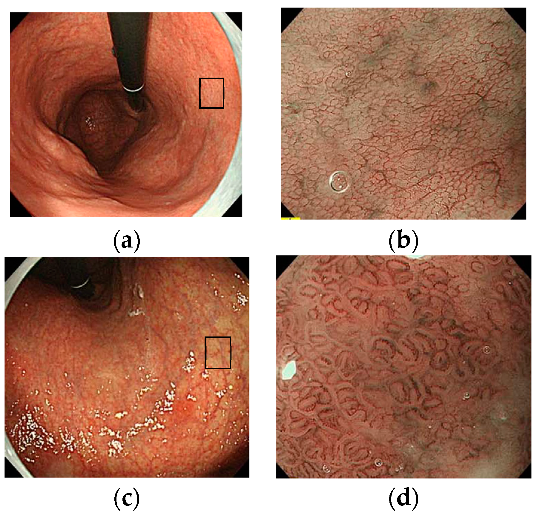 Jcm 11 03523 g010 550