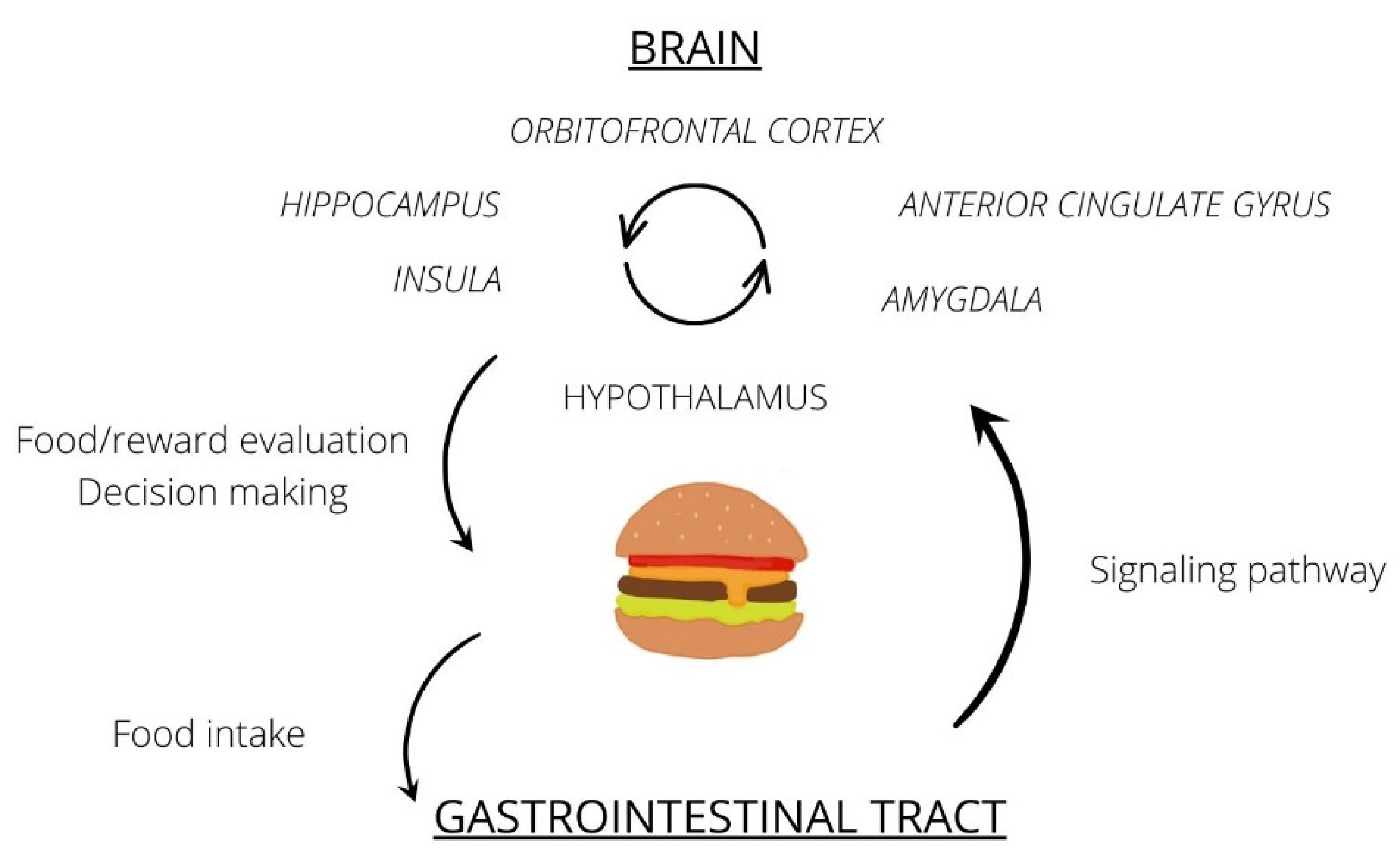 Jcm 11 03561 g001 550