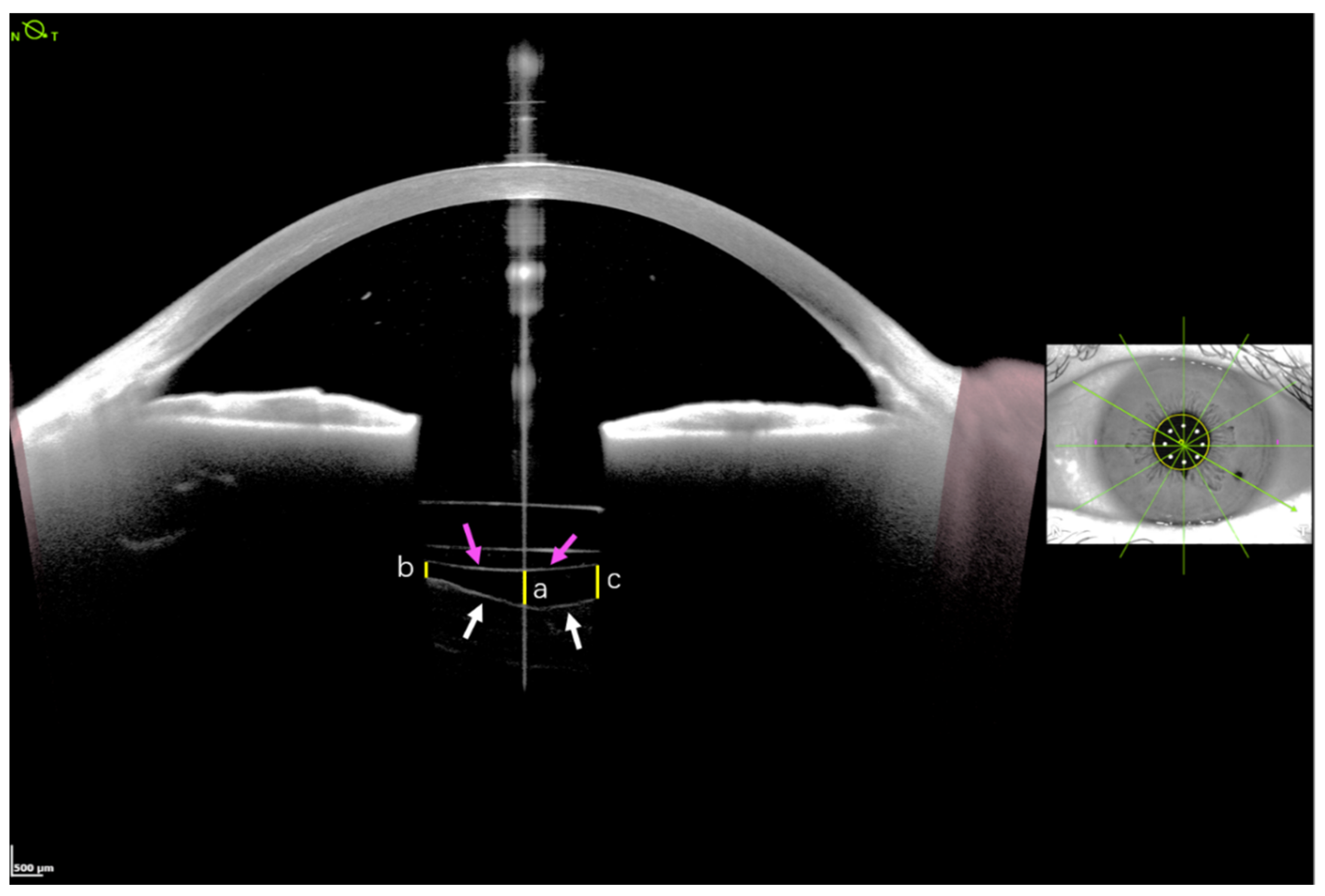 Jcm 11 03580 g002 550